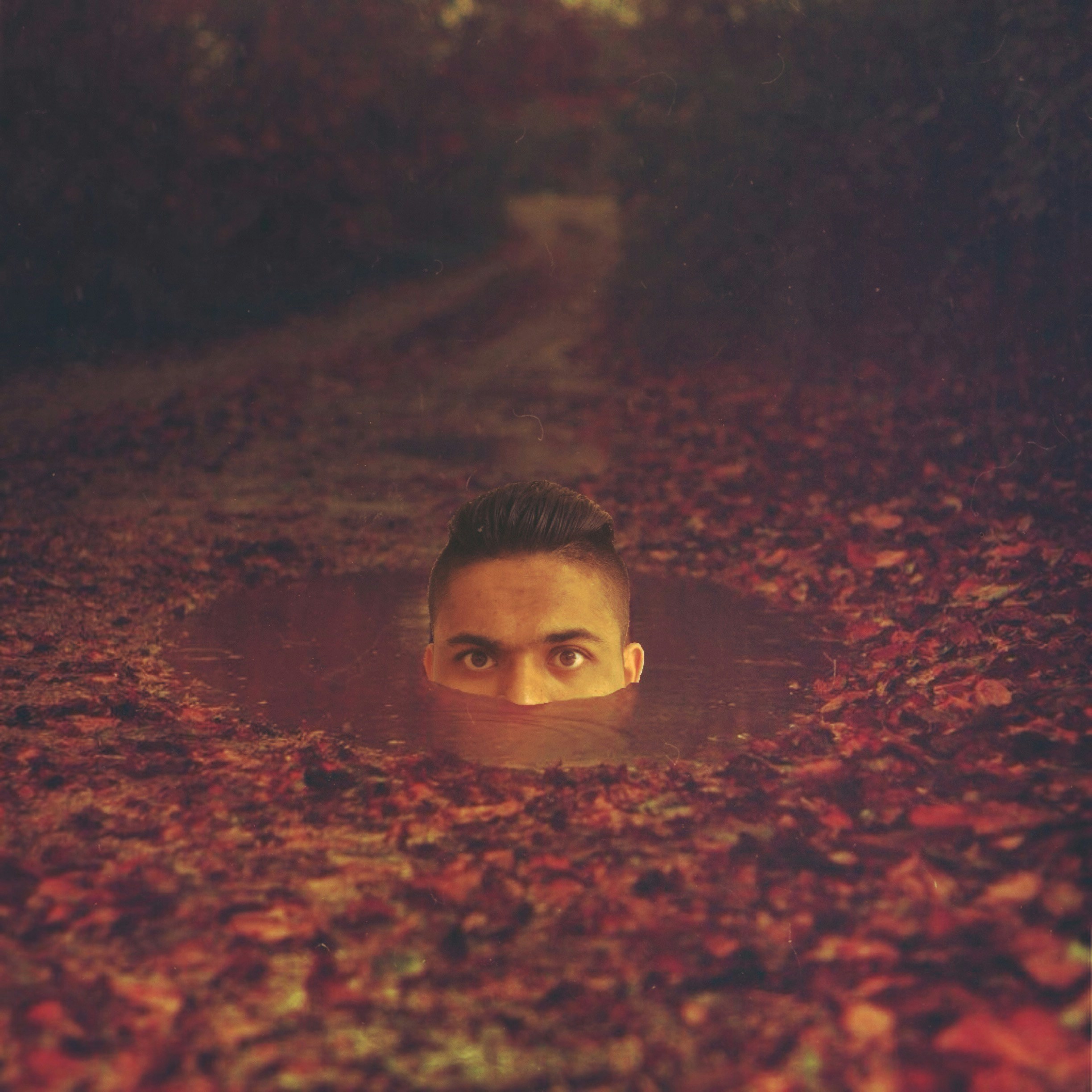 Free Unsplash photo from Sho Lennon