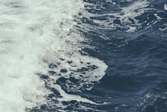 Ocean wave simulation model visualization with data overlays.