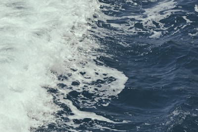 Ocean wave simulation model visualization with data overlays.