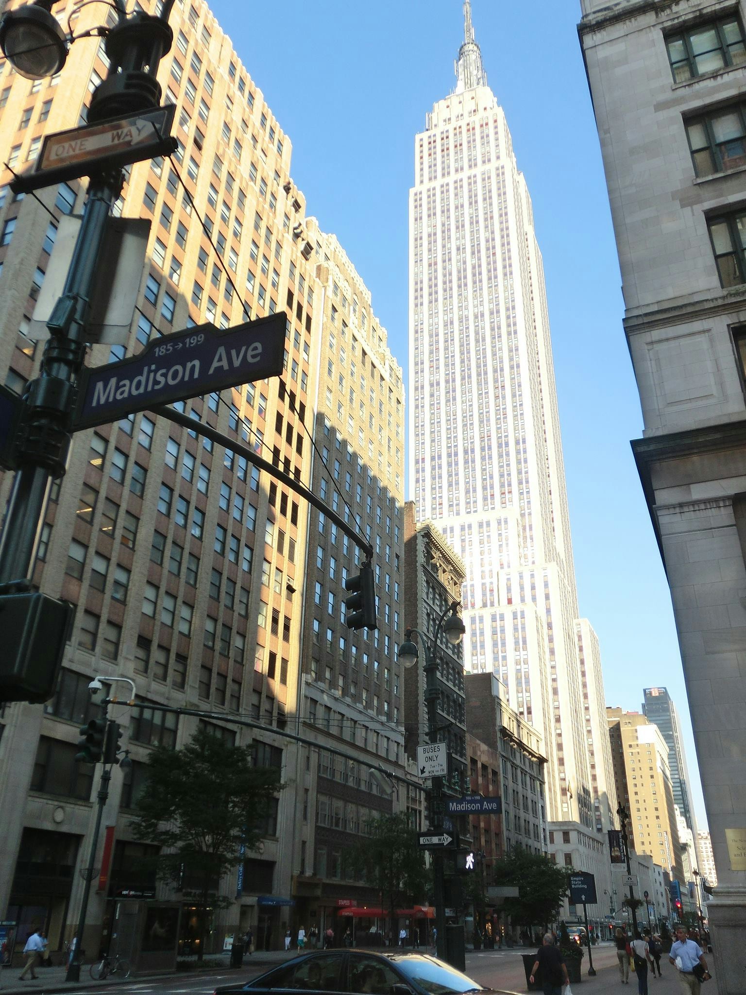 Free Unsplash photo from Jennett Bremer