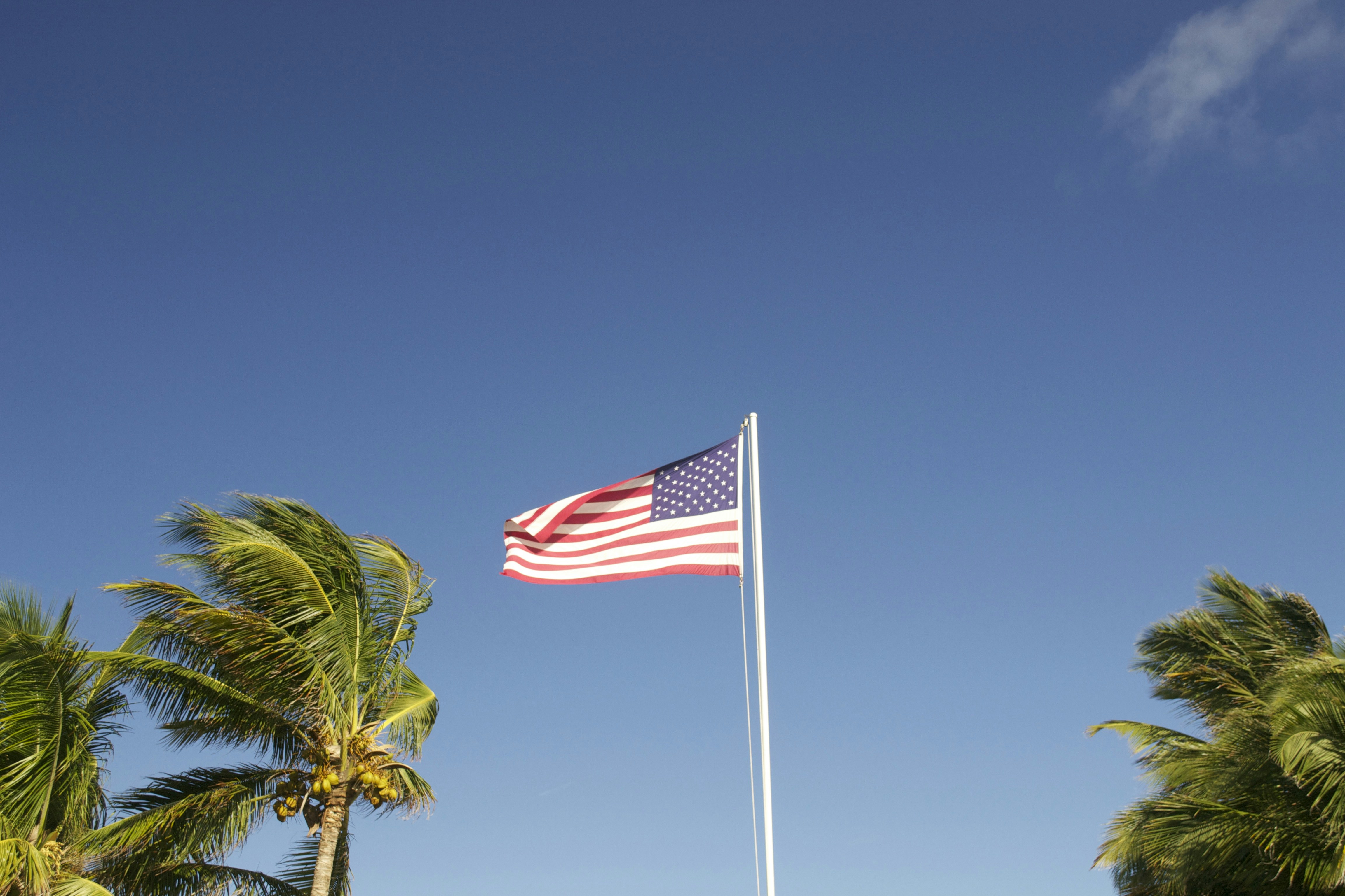 Free Unsplash photo from Sarah jaslow