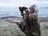 A large piece of driftwood stands prominently on a sandy beach. The ocean waves are visible in the background under an overcast sky, creating a serene and natural setting. The driftwood has a weathered appearance with various textures and shades of brown and gray.
