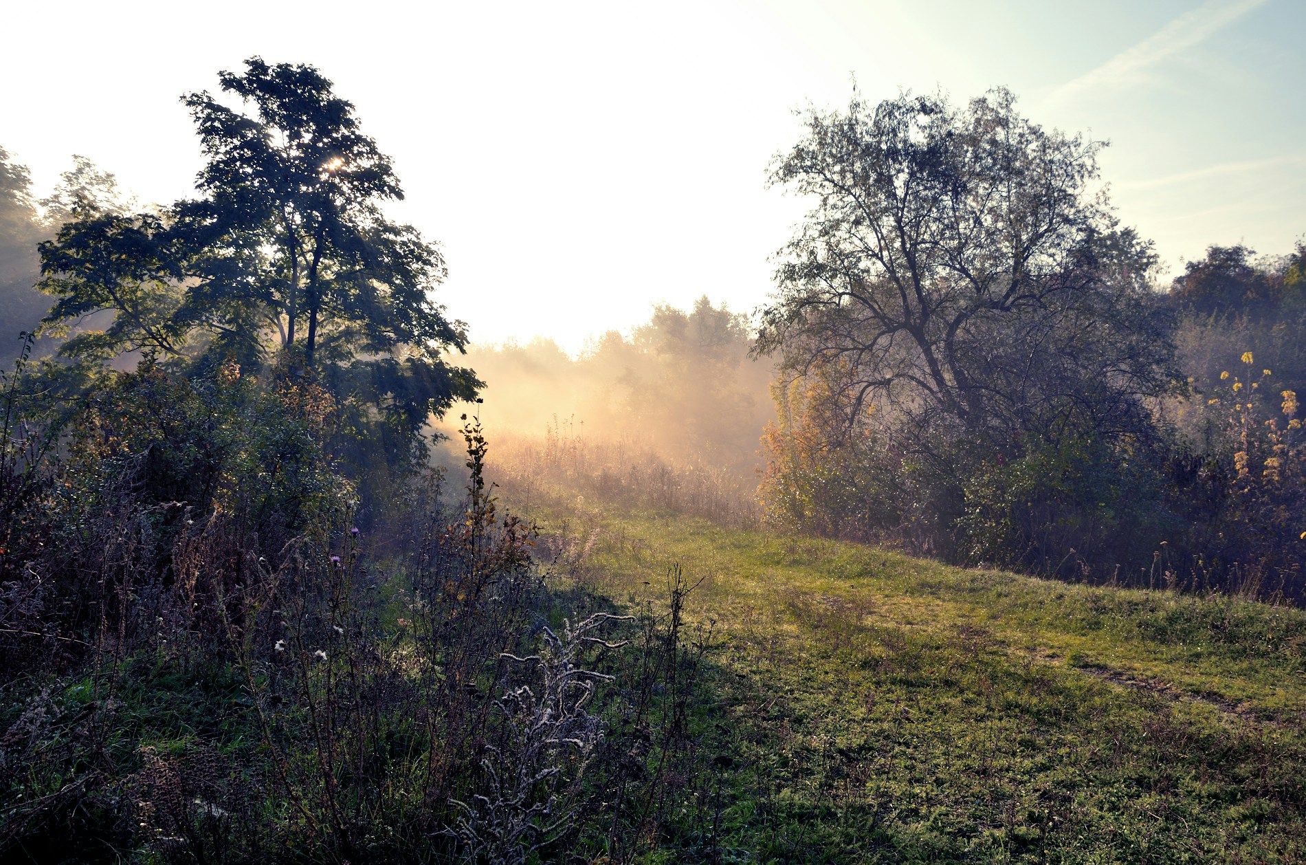 Free Unsplash photo from Sergey Bakhvalov