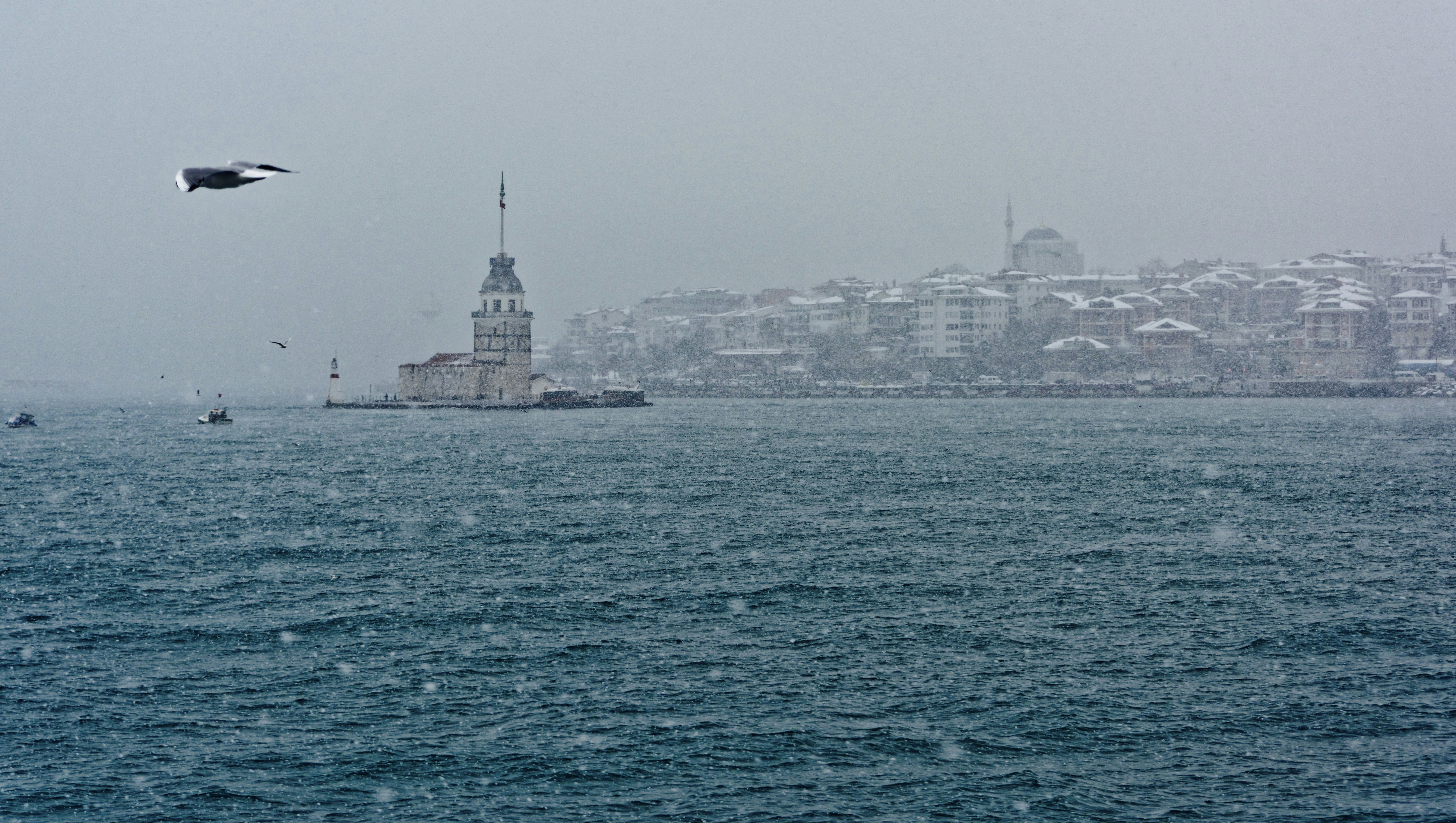 Free Unsplash photo from Ahmet Anak