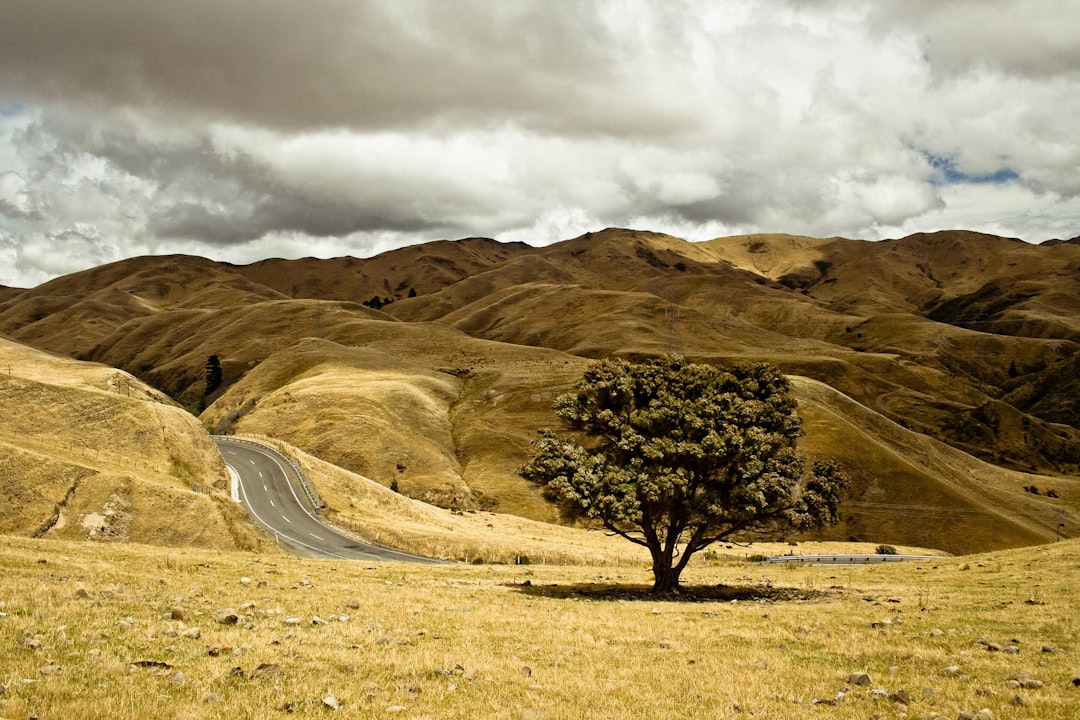 photo of Nelson Hill near Tahunanui Beach