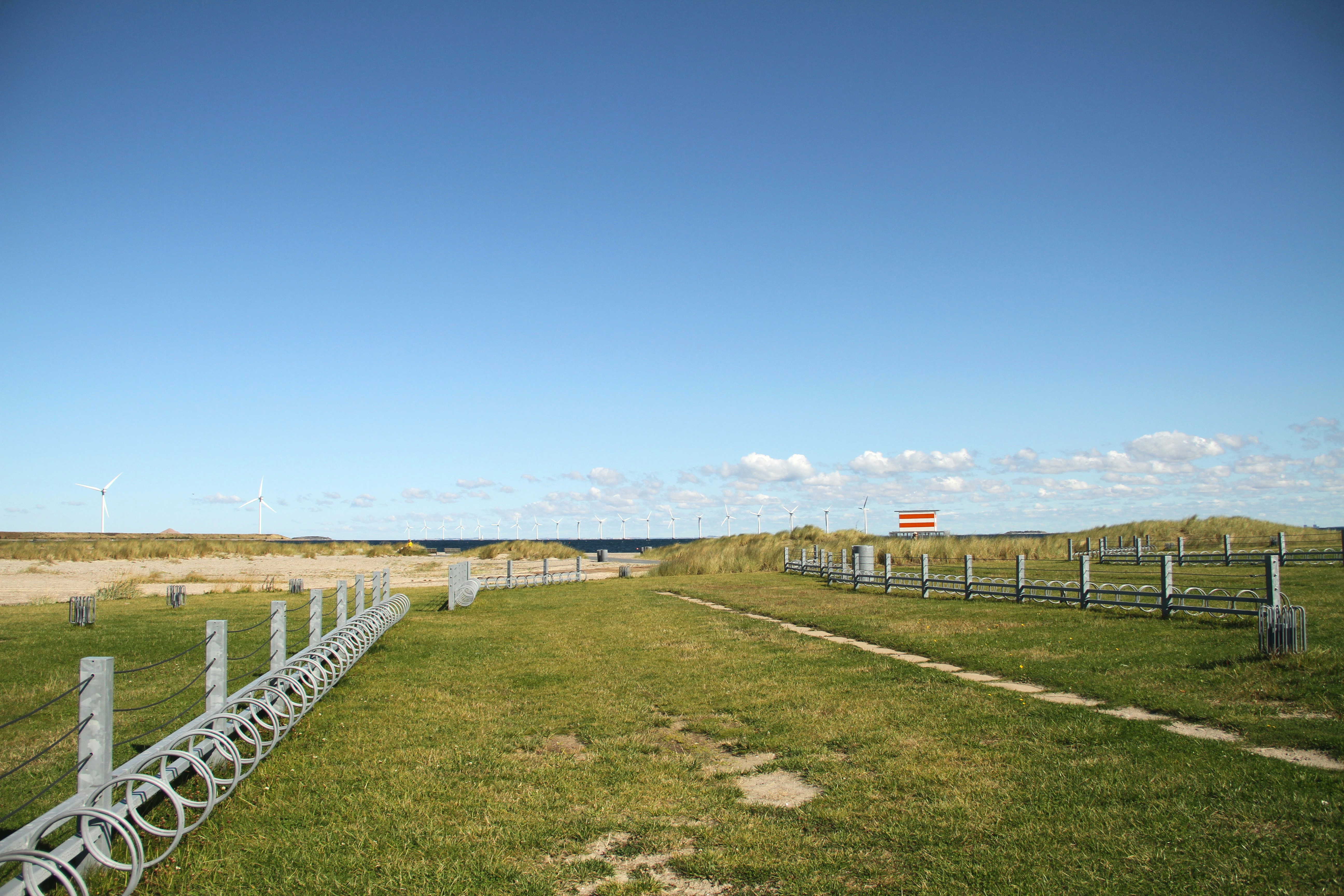 Free Unsplash photo from Zea Meng