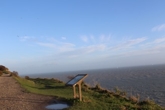 A coastal landscape with a grassy path running alongside the ocean. An informational sign on a stand is positioned near the edge of the cliff. The sky is clear with a few scattered clouds and several birds flying in the distance.