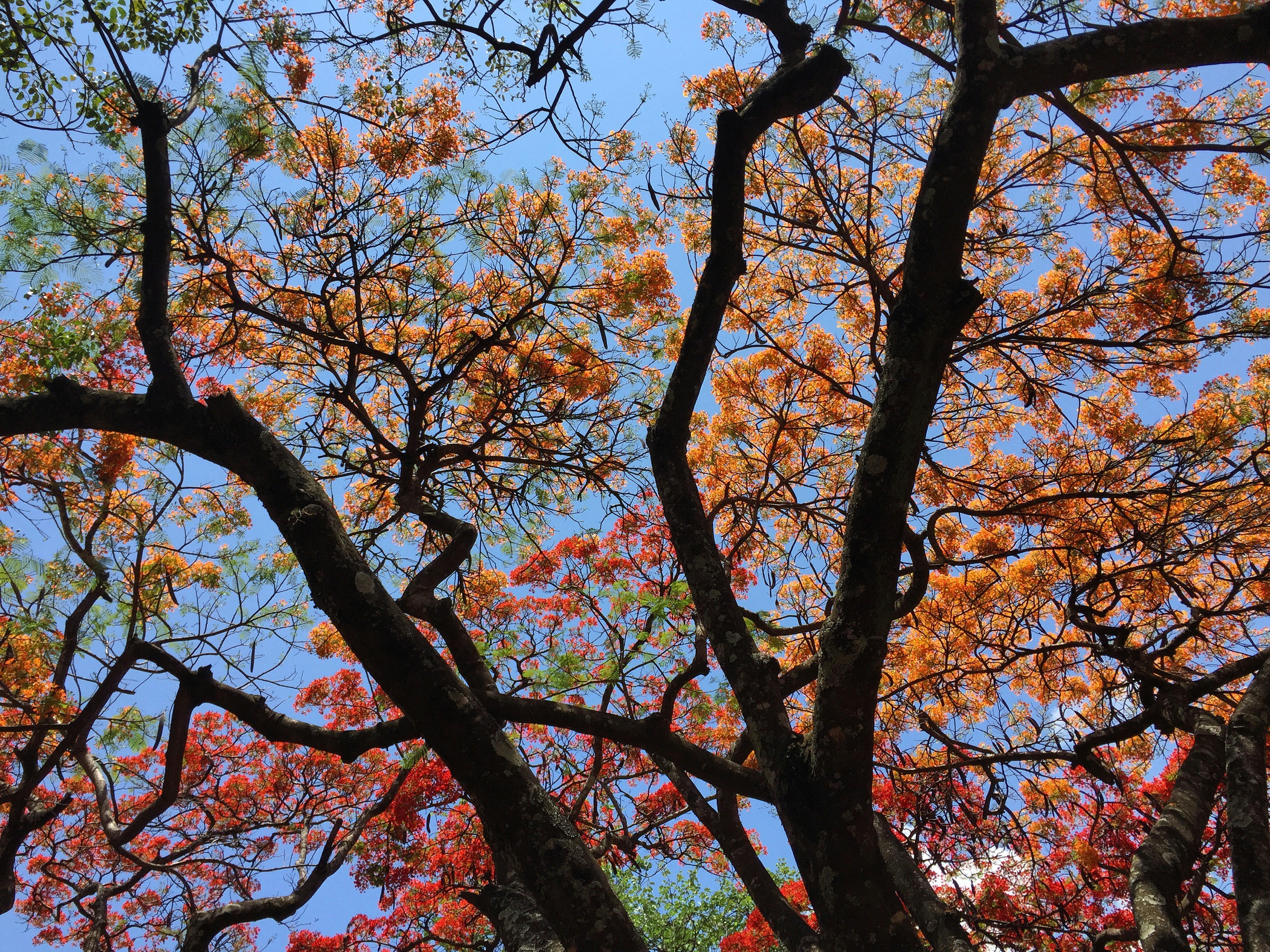 Free Unsplash photo from Heloisa Rocha