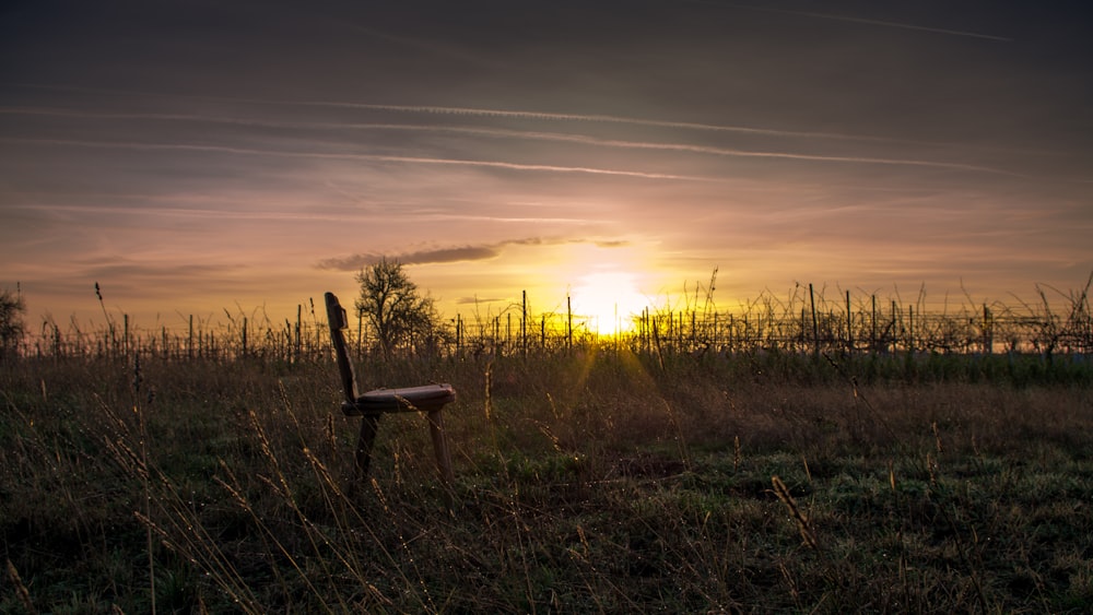 brown wooden chair on green grass field during sunset