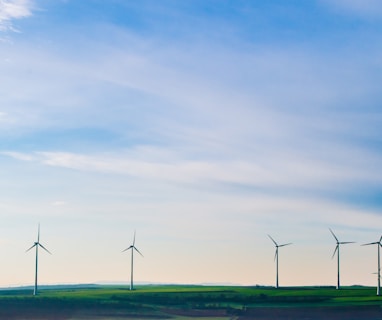 white windmills on green grass field under white clouds and blue sky