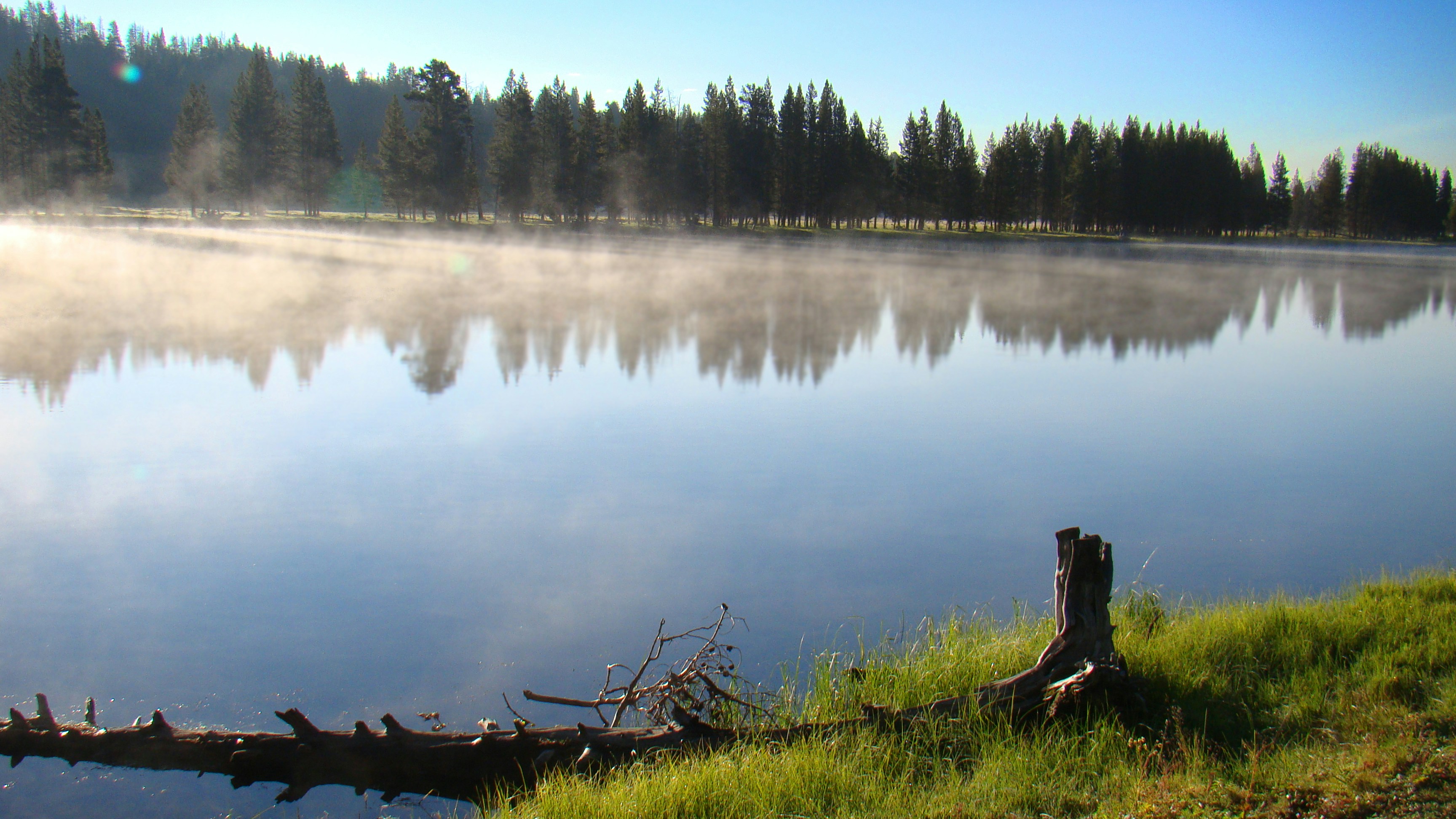 Free Unsplash photo from Max Isom