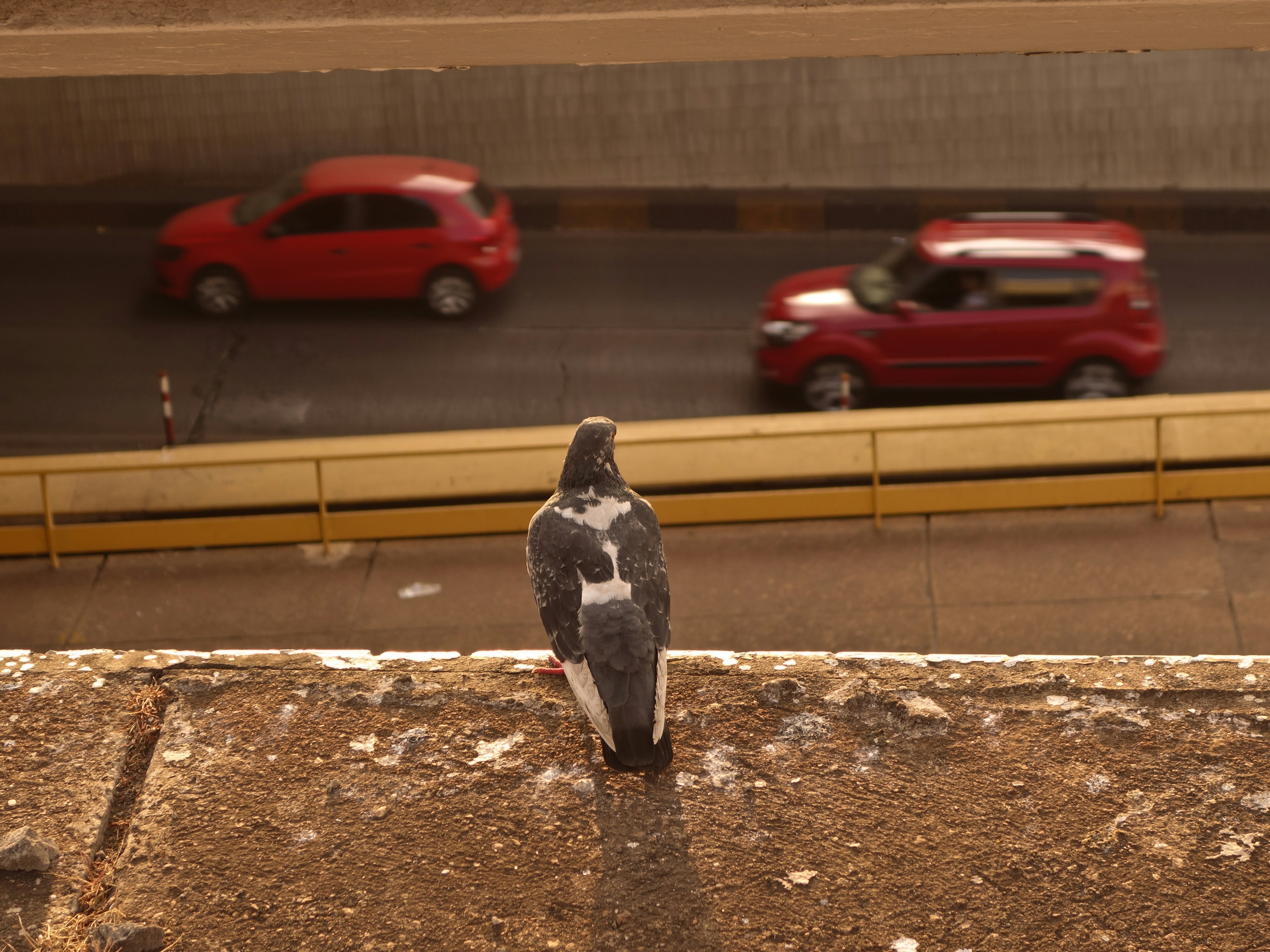 Free Unsplash photo from Heloisa Rocha