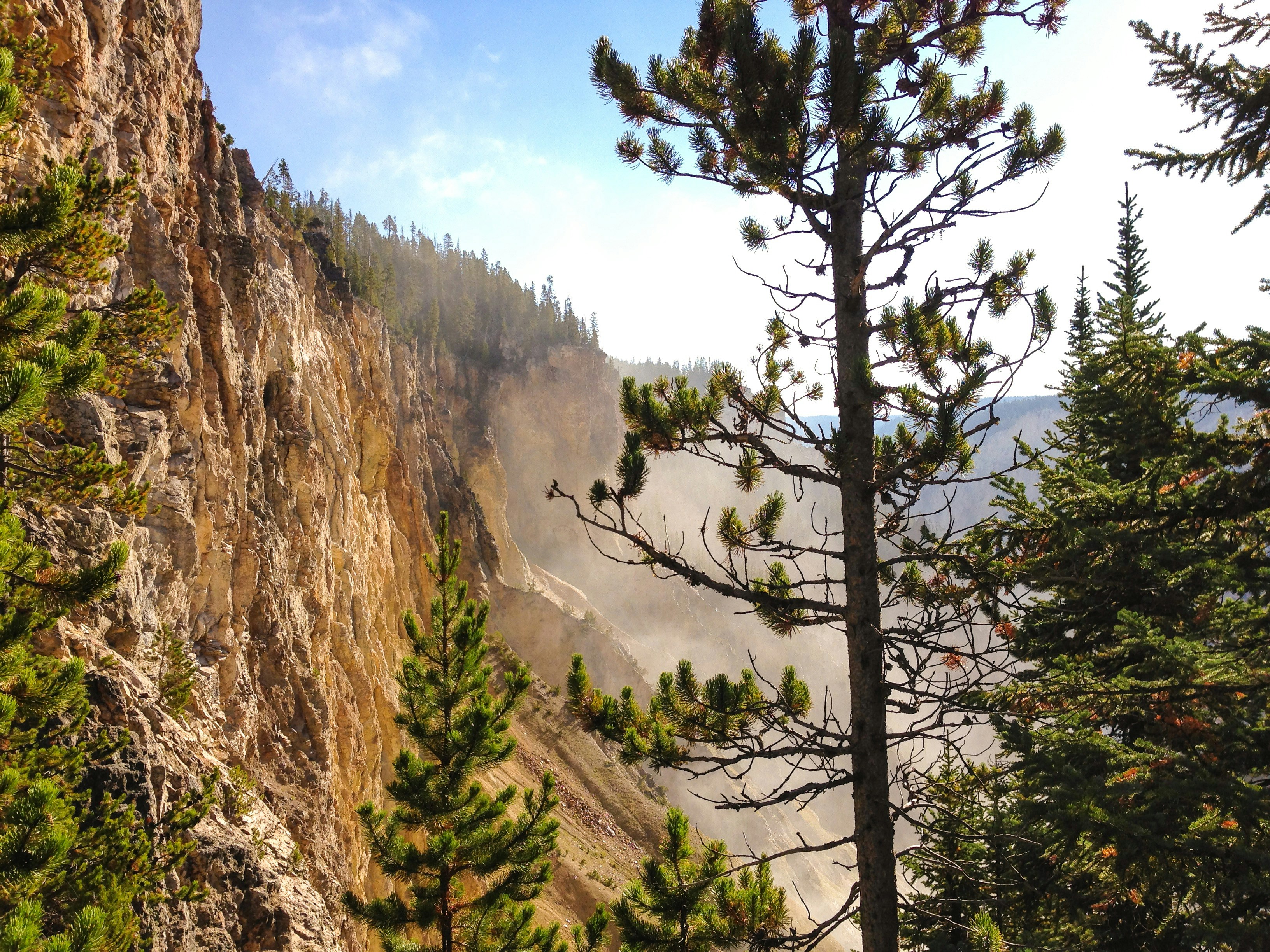 Free Unsplash photo from Max Isom