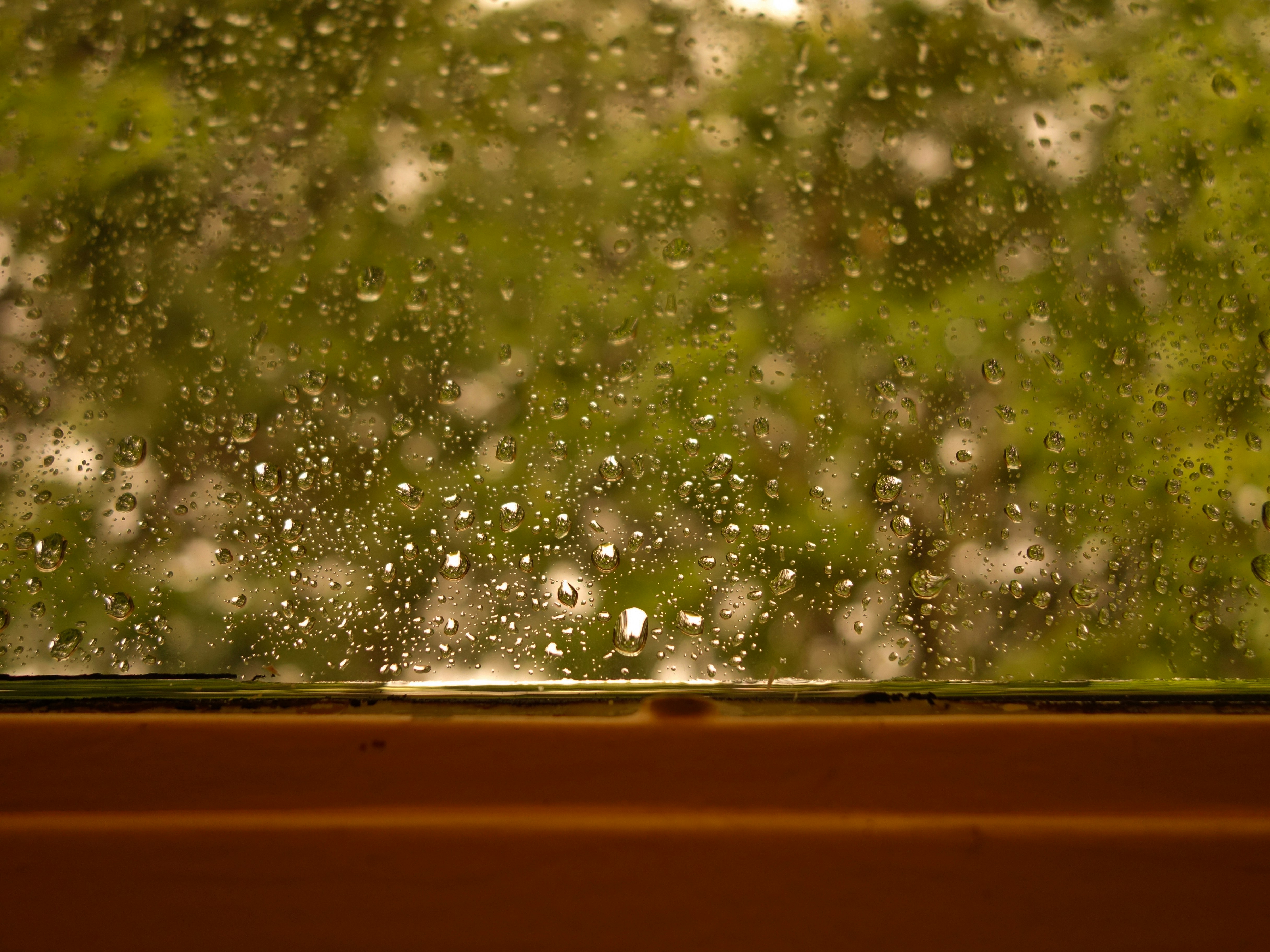 Free Unsplash photo from Heloisa Rocha