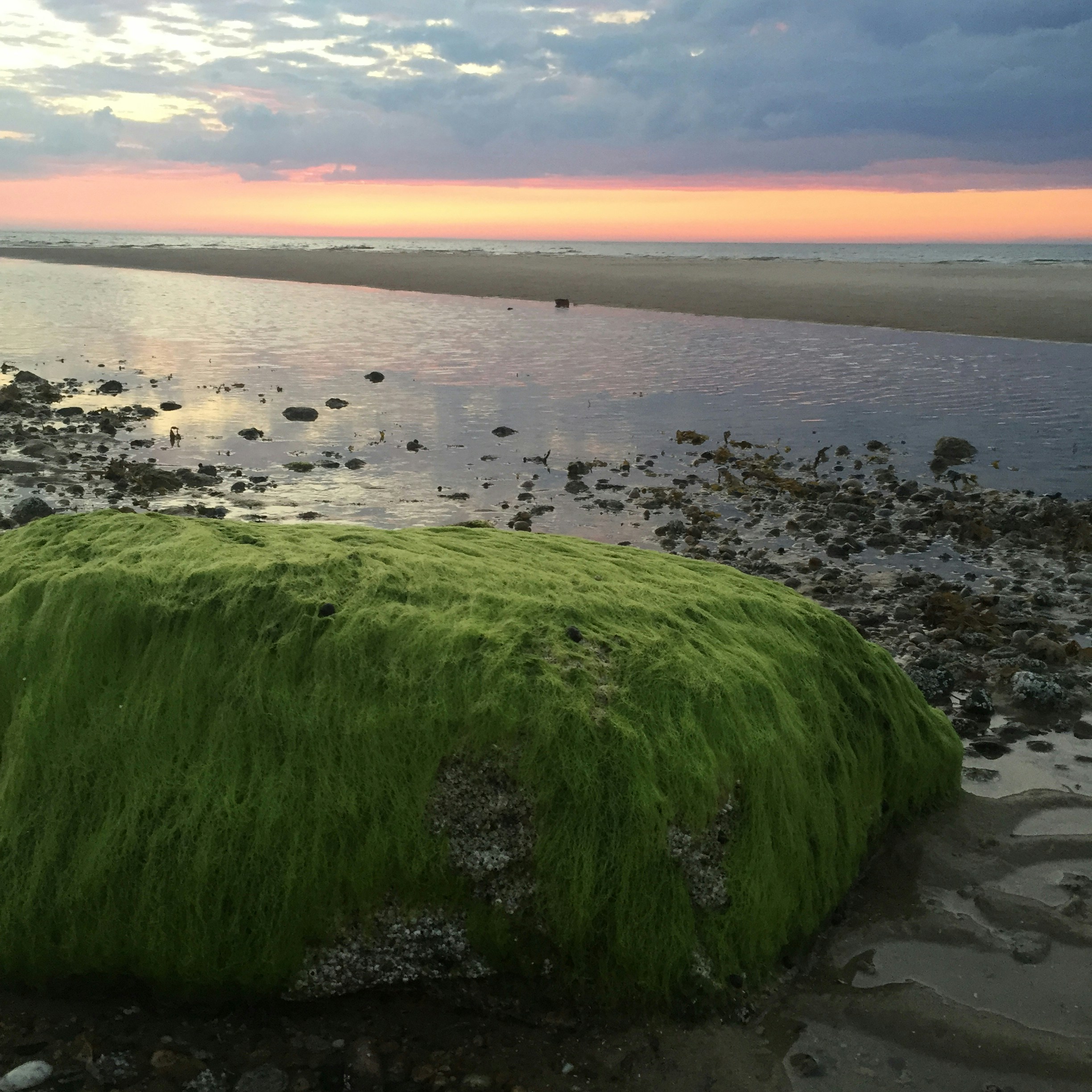 Free Unsplash photo from erika isler