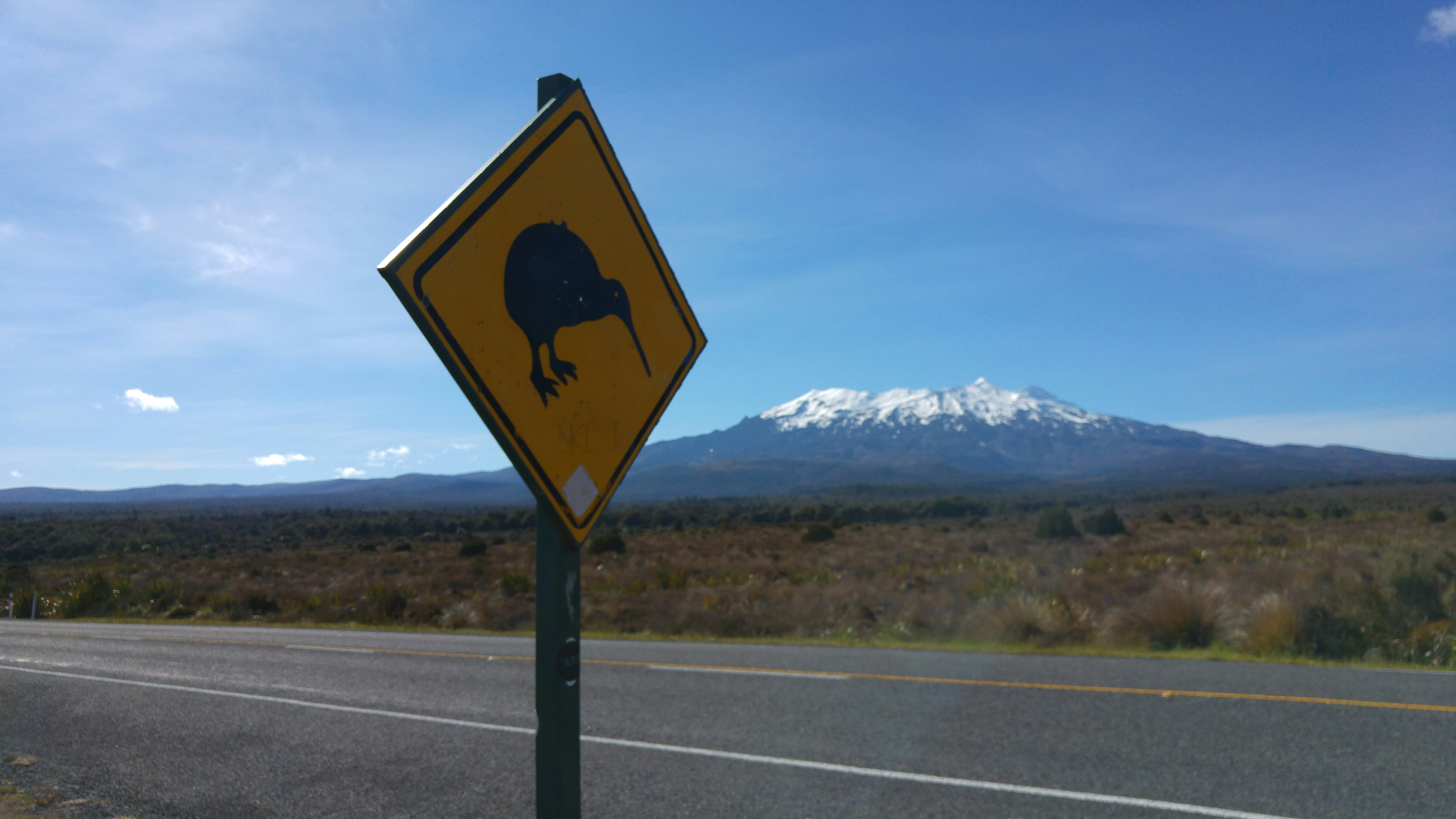 Navigating New Zealand Work Visa English Score Requirements Understanding Trends and Tips