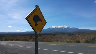 A vibrant social media post featuring a New Zealand outdoor adventure company.