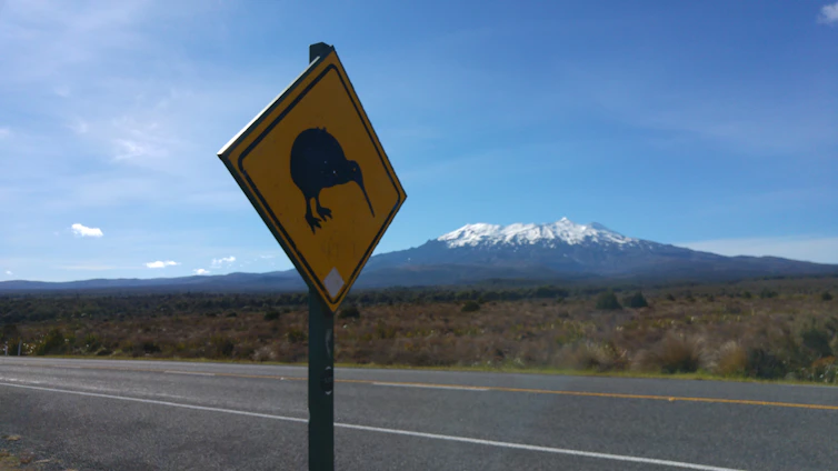 Photo of Aswin Nair reviewing highway project plans on site in New Zealand.