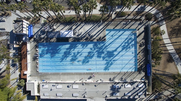 Aerial view of an outdoor swimming pool surrounded by palm trees with long shadows cast across the water. The pool is rectangular with lanes and a few people swimming. Surrounding the pool are concrete walkways and some buildings, indicating an urban setting.