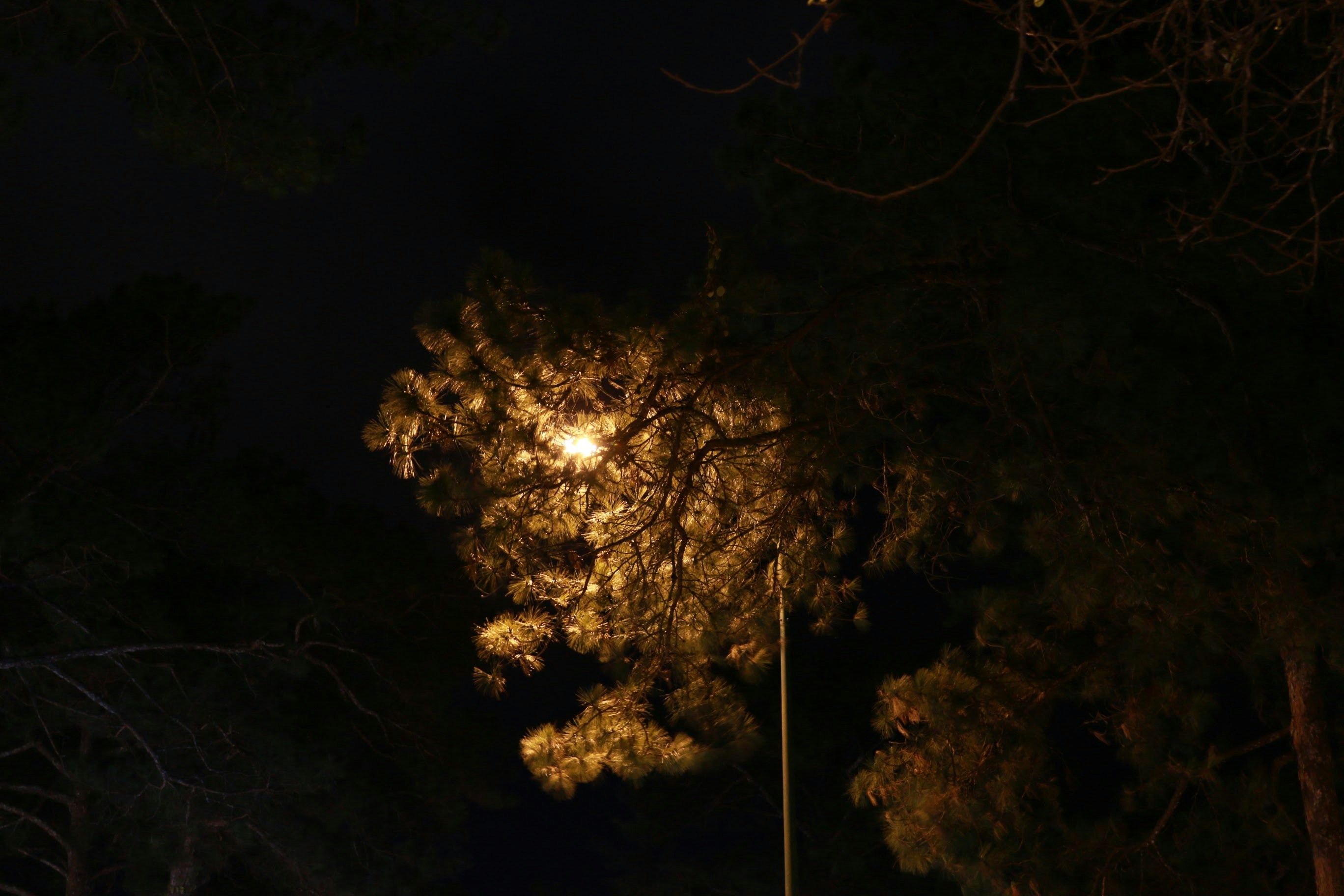 Free Unsplash photo from Duy Nguyễn