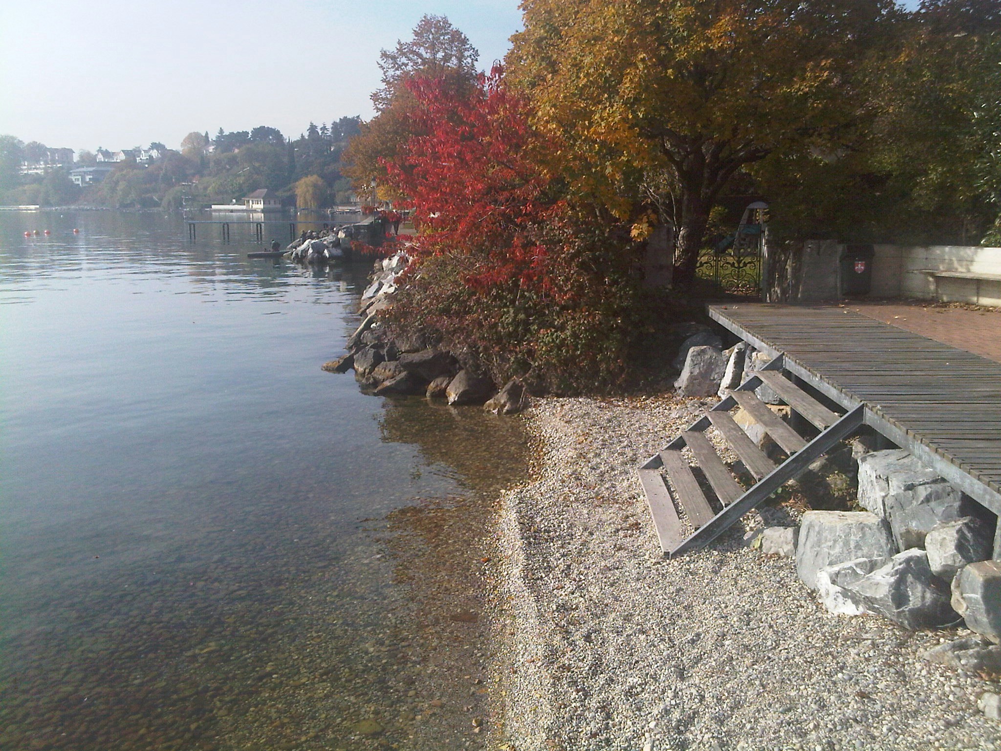 Free Unsplash photo from Alessandra Cossu