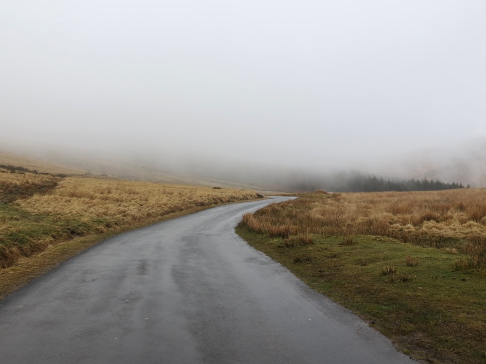 霧の森へと続くコンクリート道路