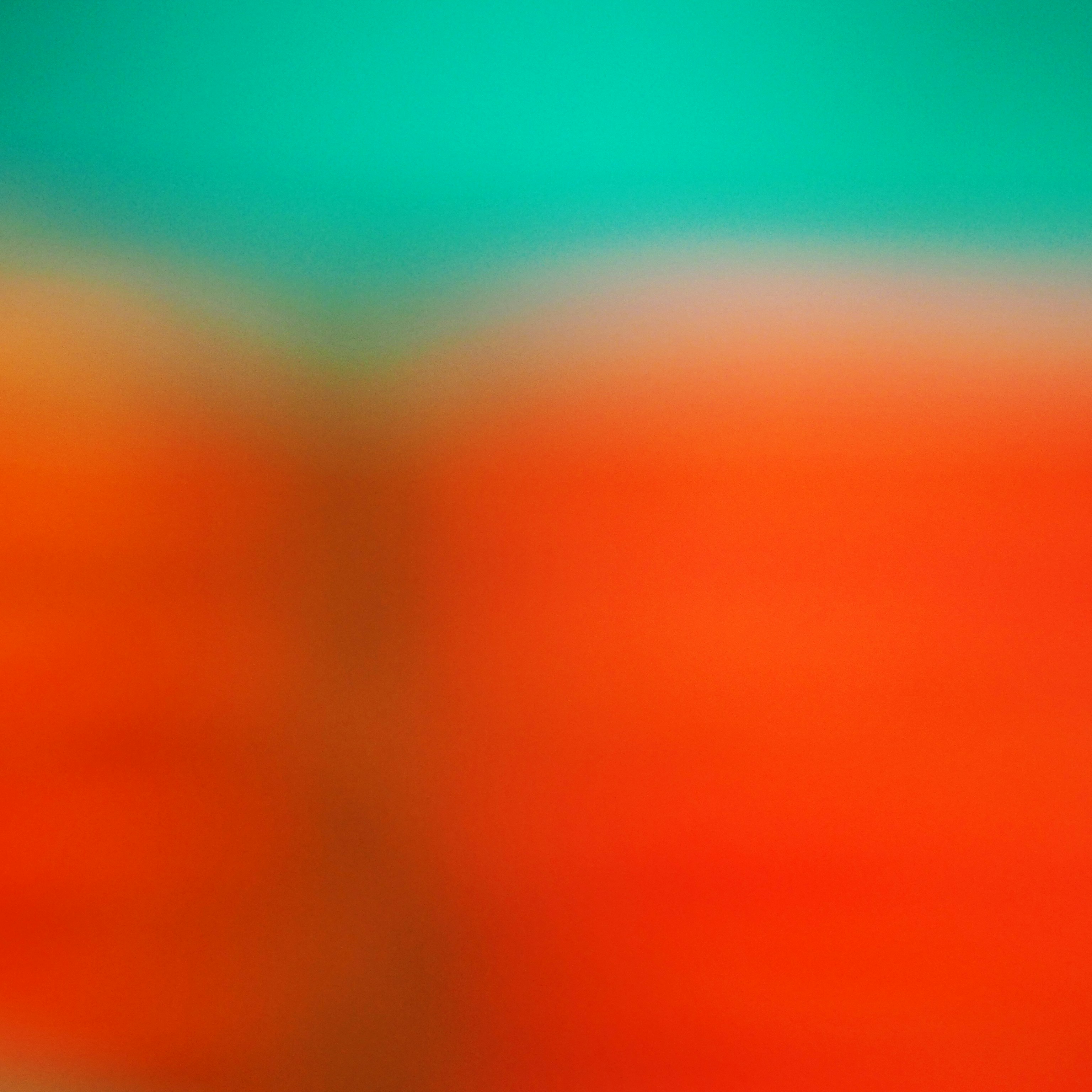 Photo By Rowan Heuvel