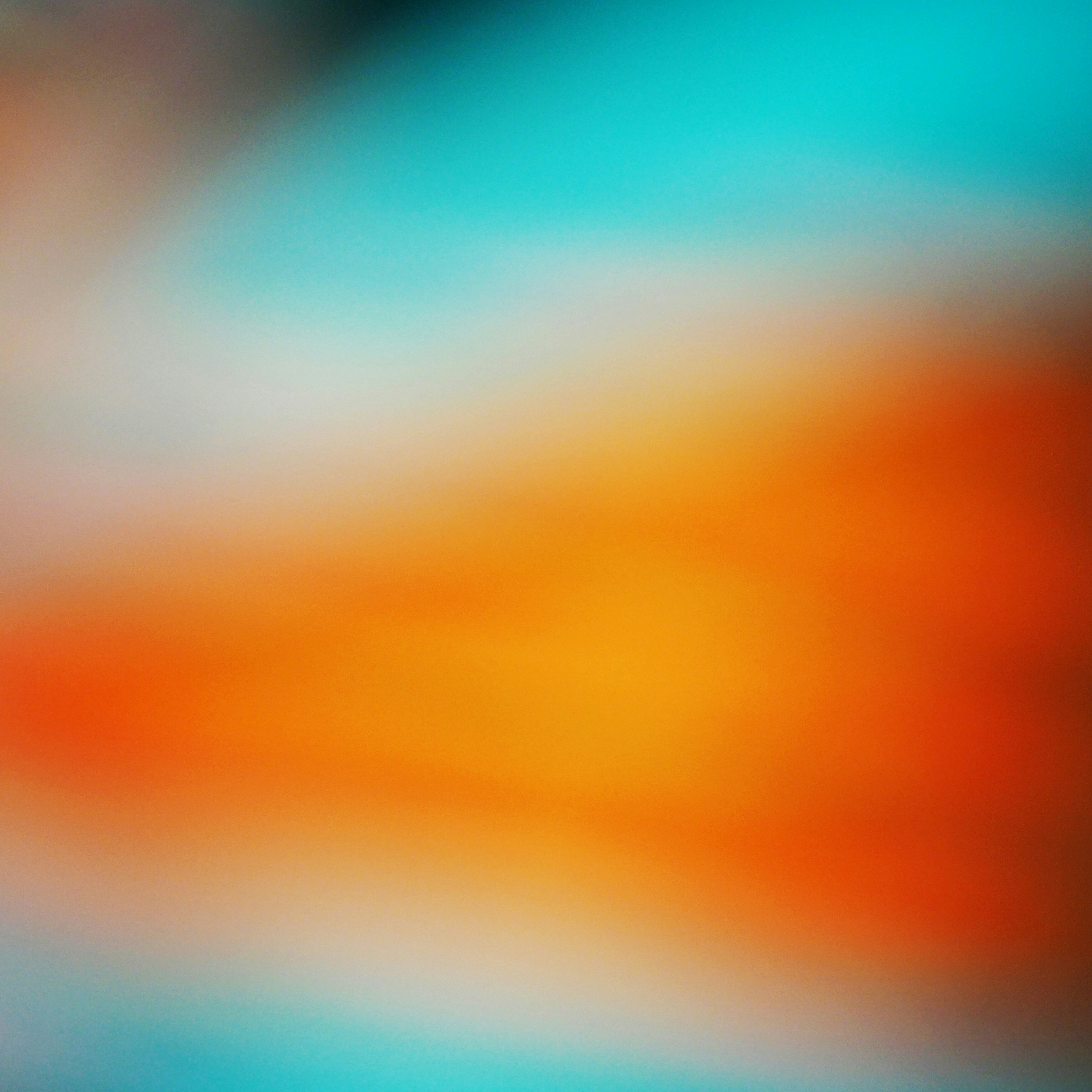 Photo By Rowan Heuvel