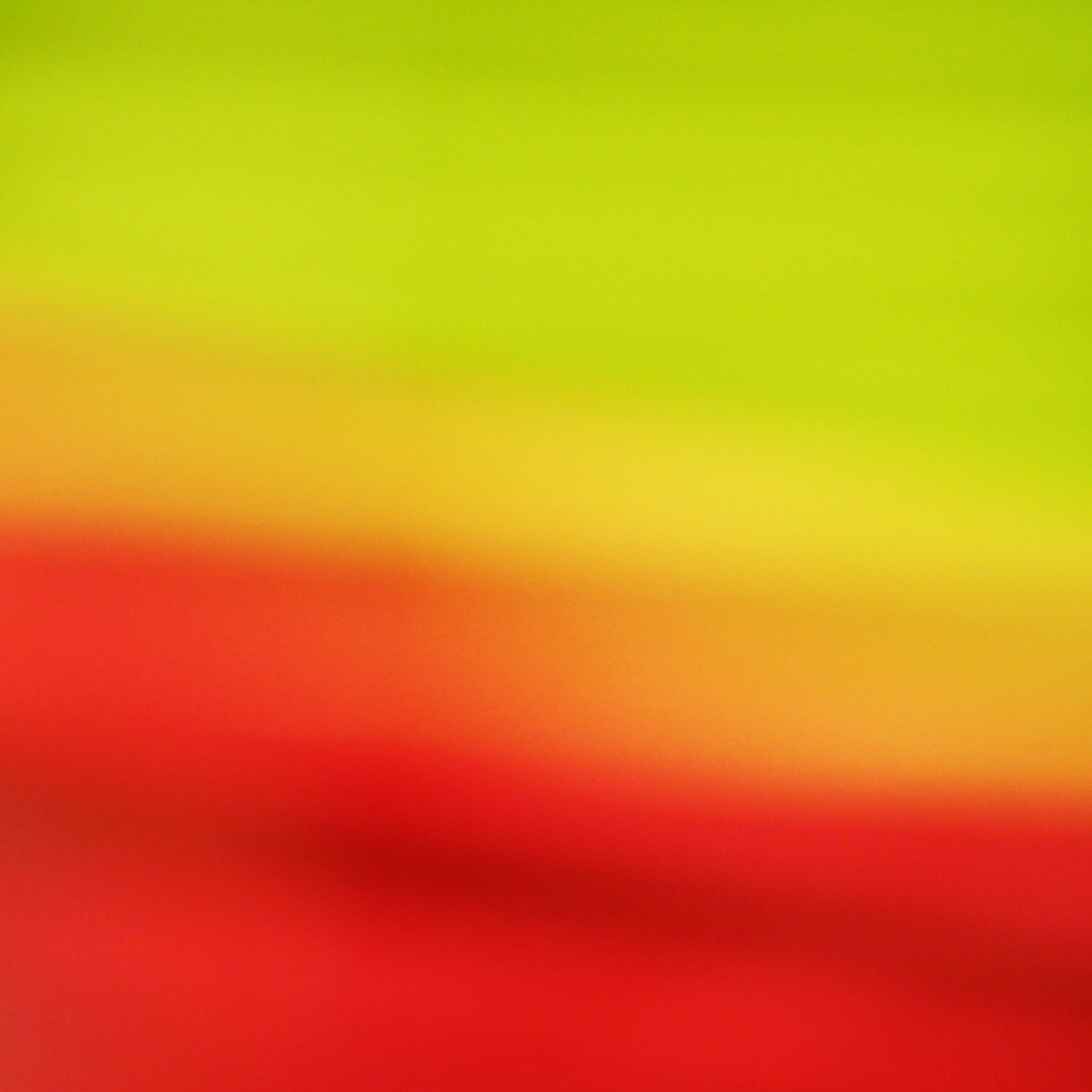 Photo By Rowan Heuvel