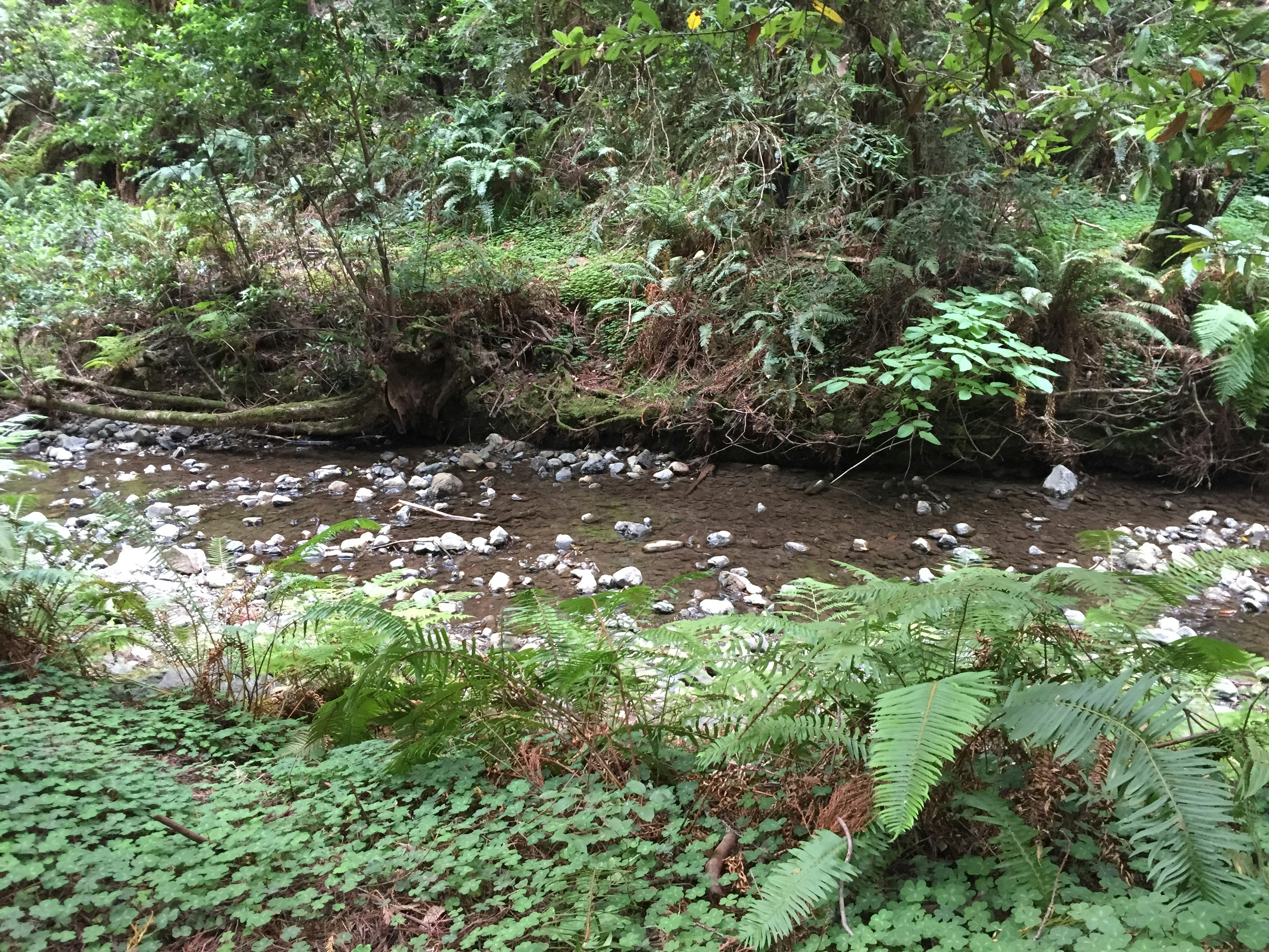 Free Unsplash photo from Nicole Allison