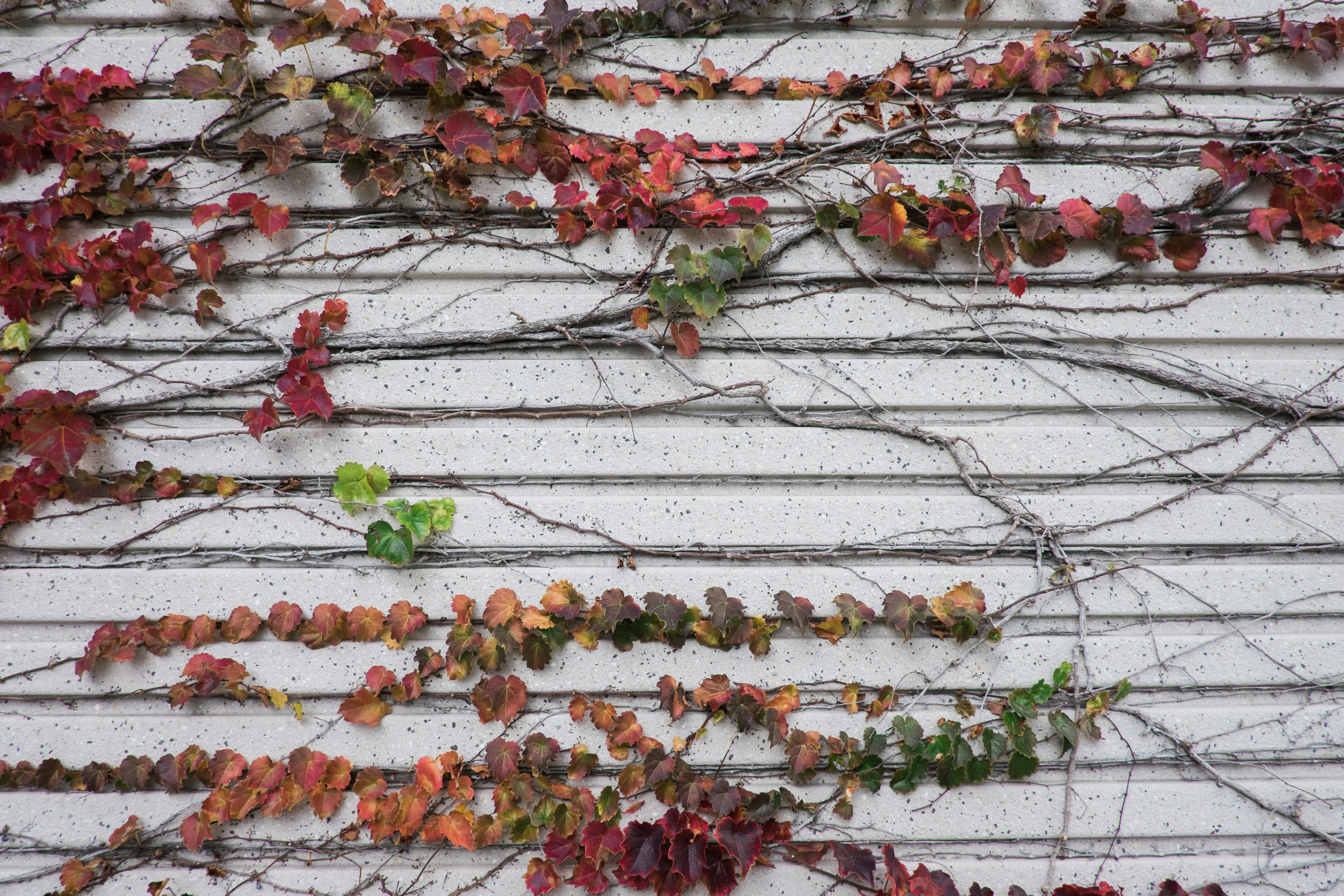 Photo By John Salzarulo