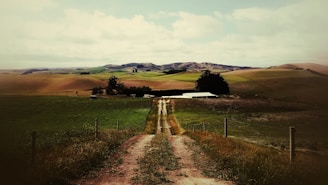 A rural landscape with a dirt road leading through green and brown fields towards a small group of buildings and trees. Rolling hills are visible in the background under a partly cloudy sky.