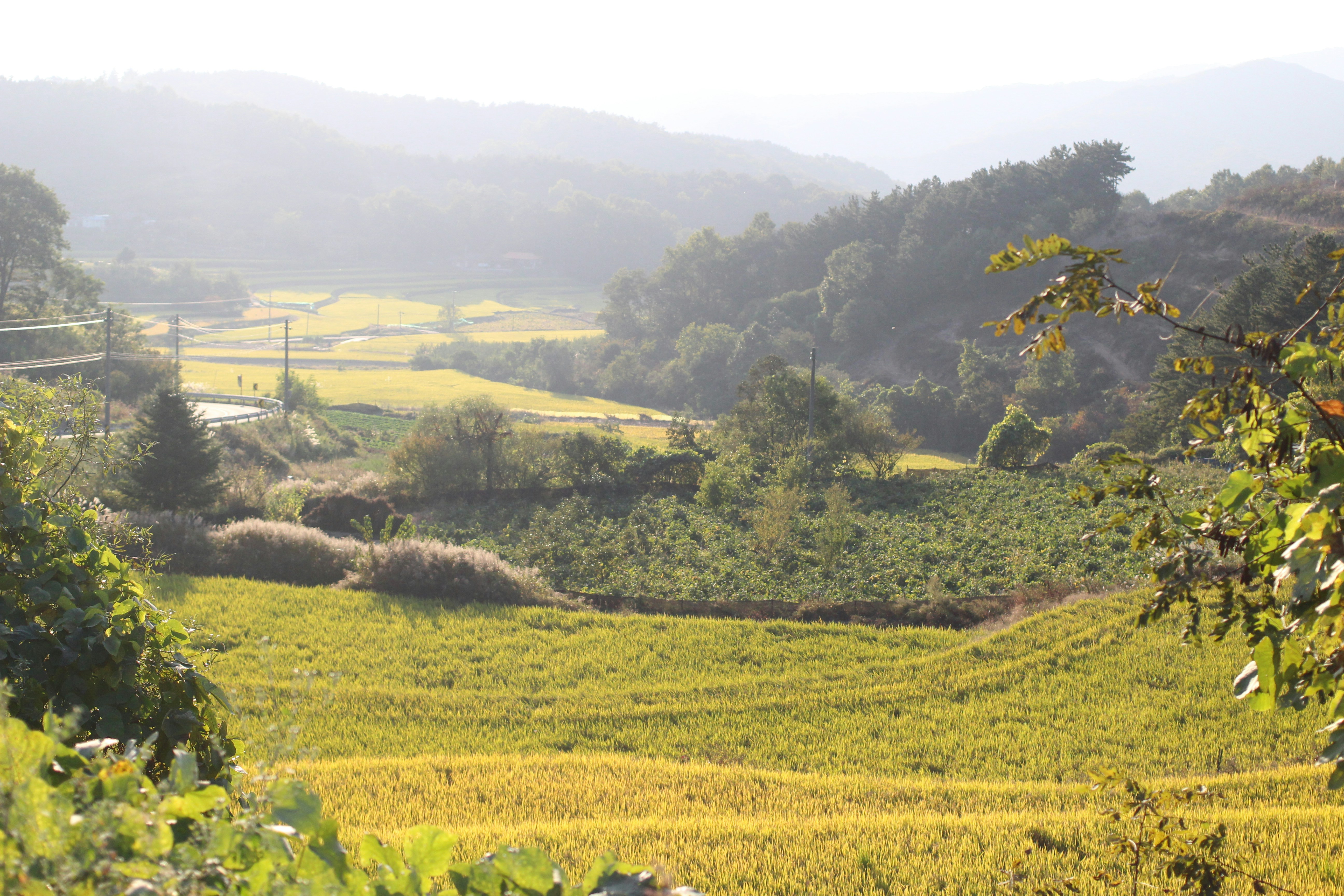 Free Unsplash photo from jisu lee