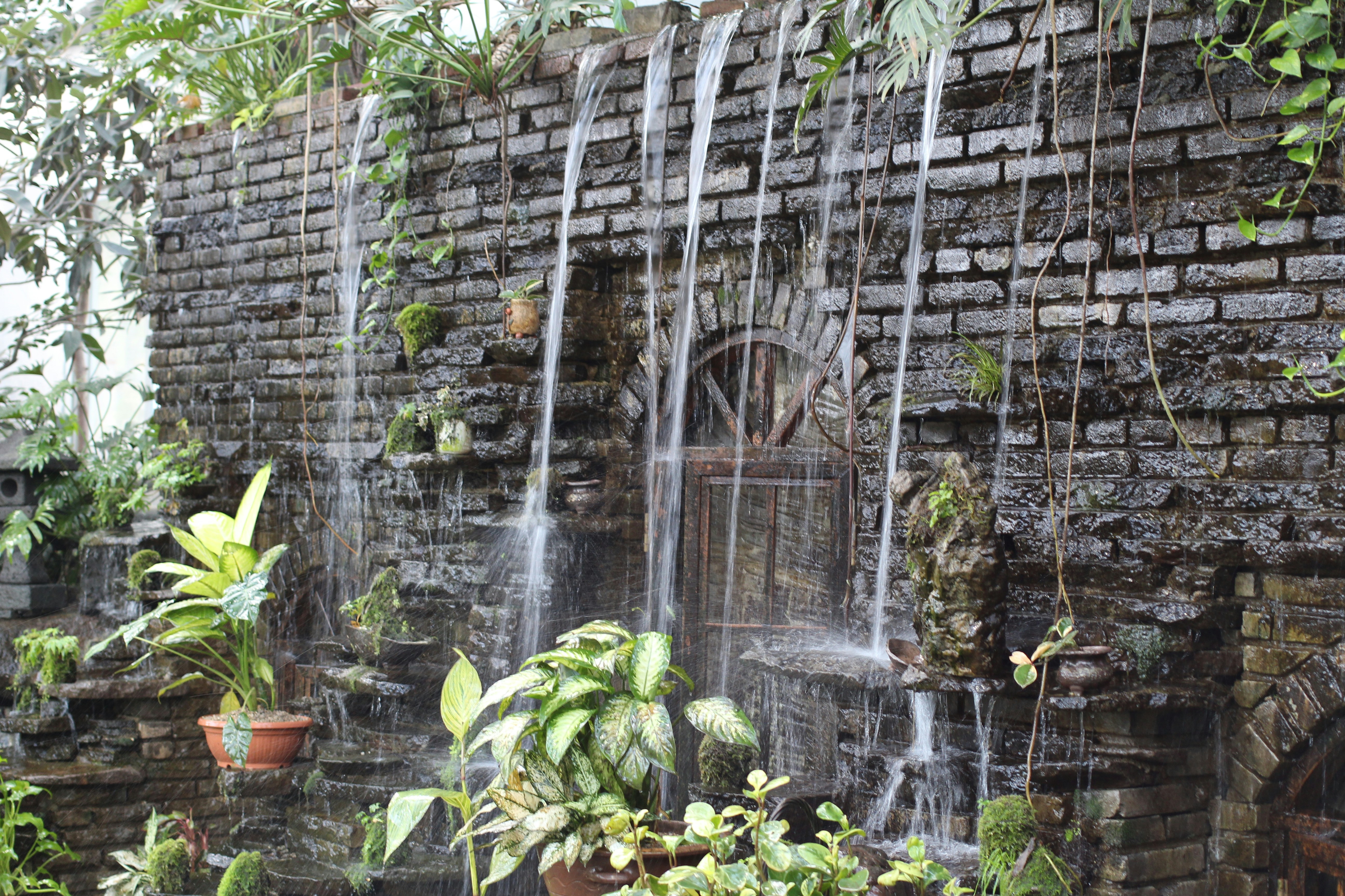 Free Unsplash photo from jisu lee