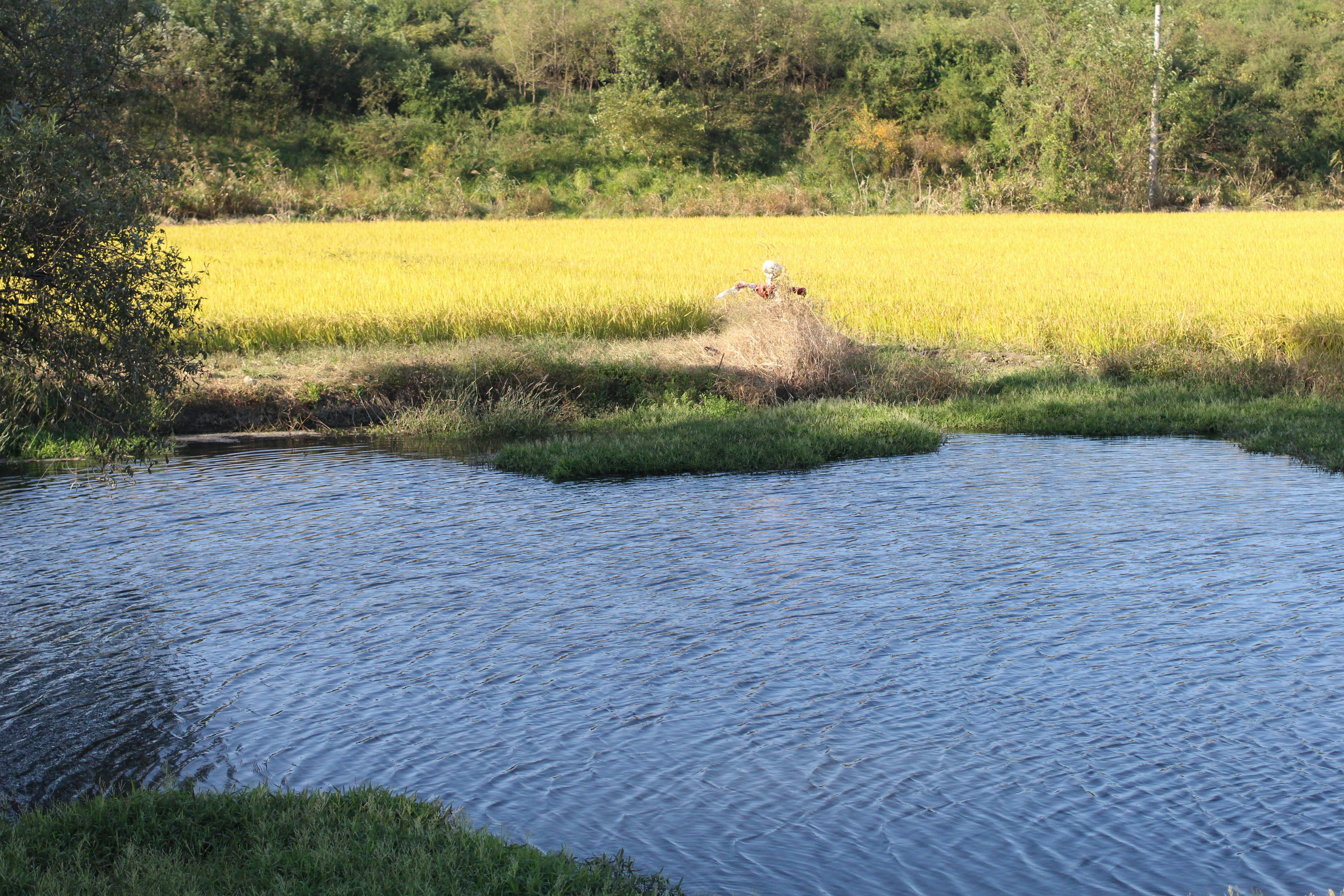 Free Unsplash photo from jisu lee