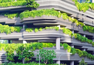 gray concrete building covered trees