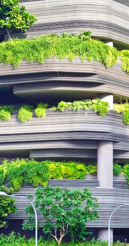 gray concrete building covered trees