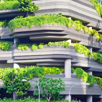 gray concrete building covered trees