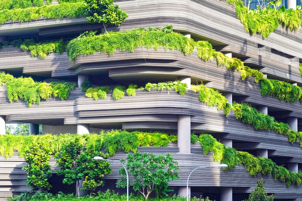 gray concrete building covered trees