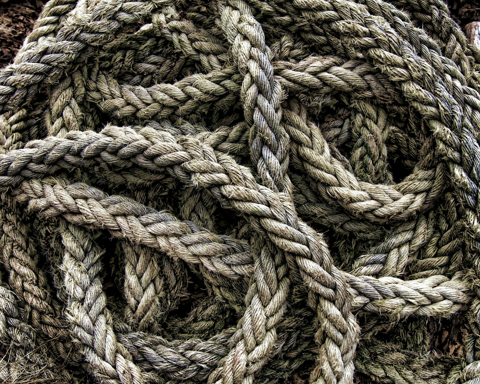 Sony SLT-A33 + Sony DT 18-55mm F3.5-5.6 SAM sample photo. Brown rope photography