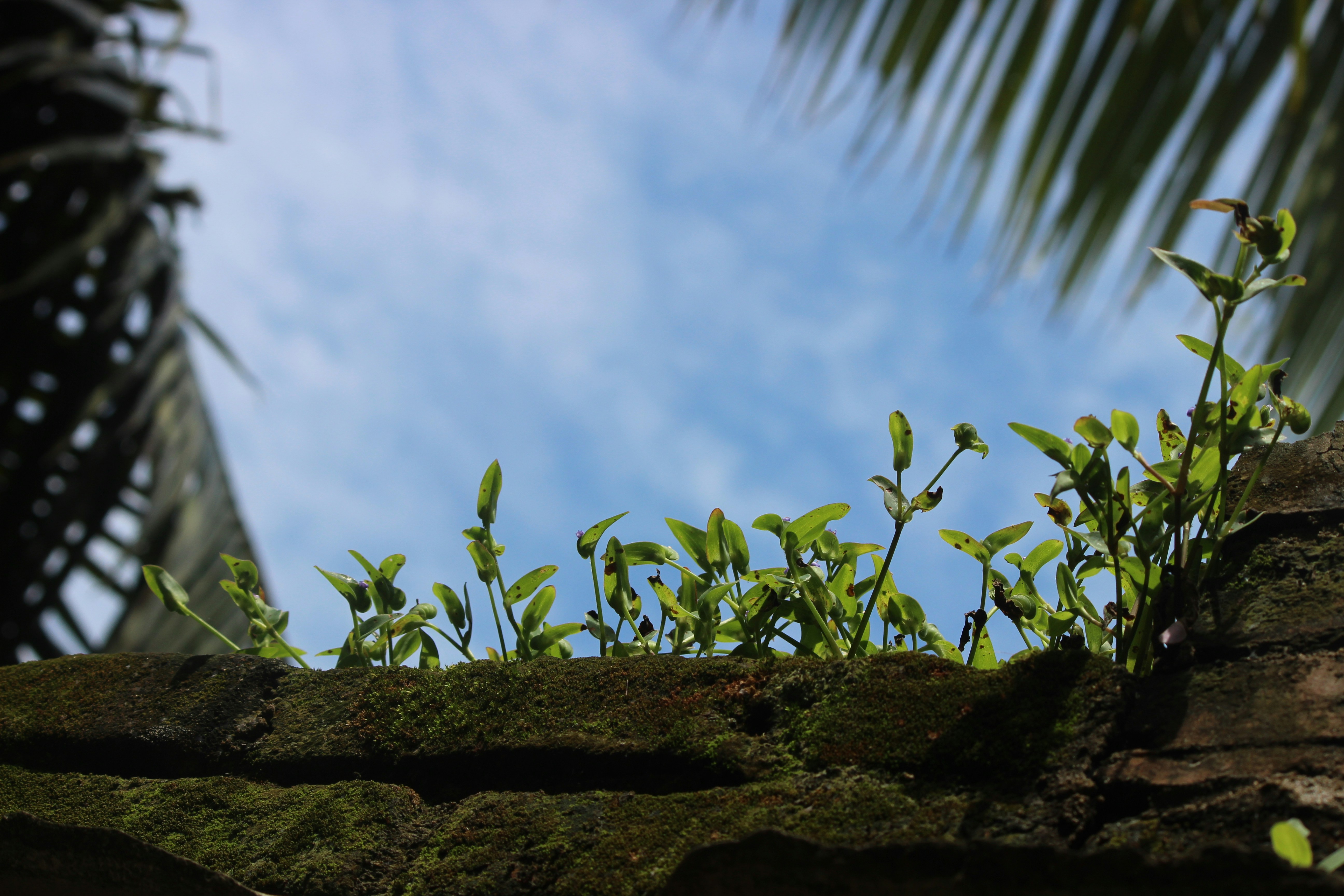 Free Unsplash photo from Arun George