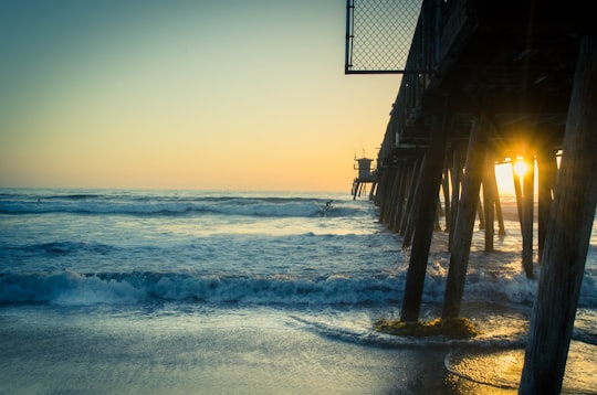 brown wooden sea dock during sunset in Imperial Beach United States