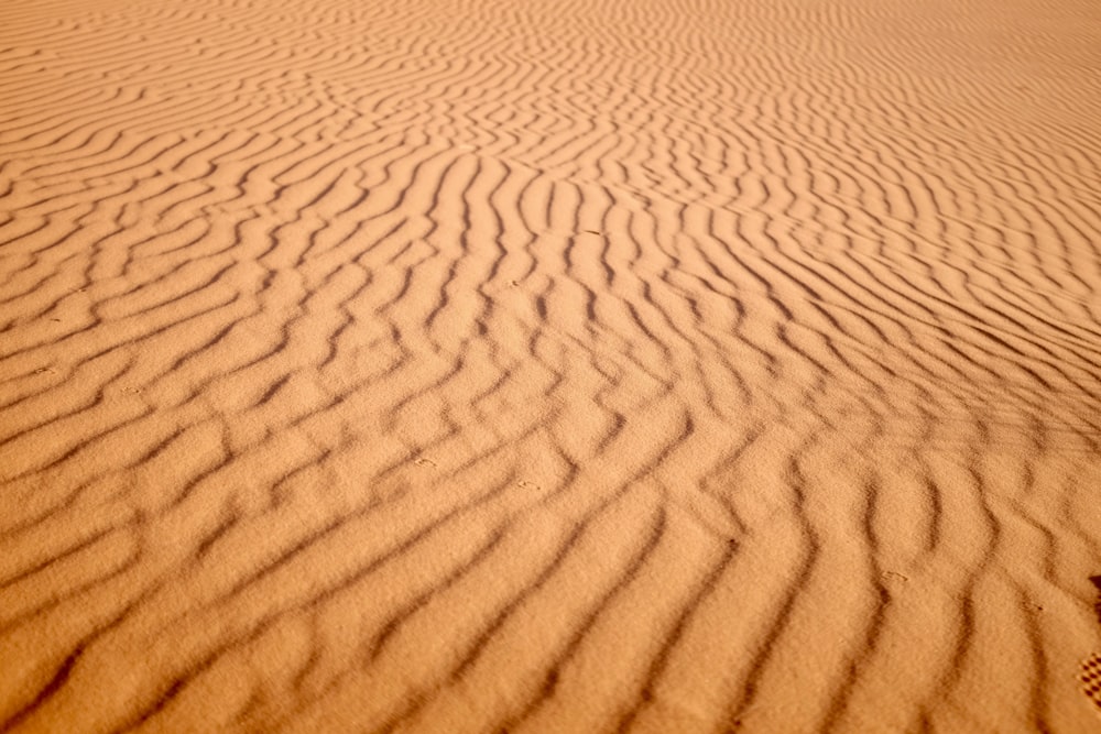 Mise au point de la photo du désert