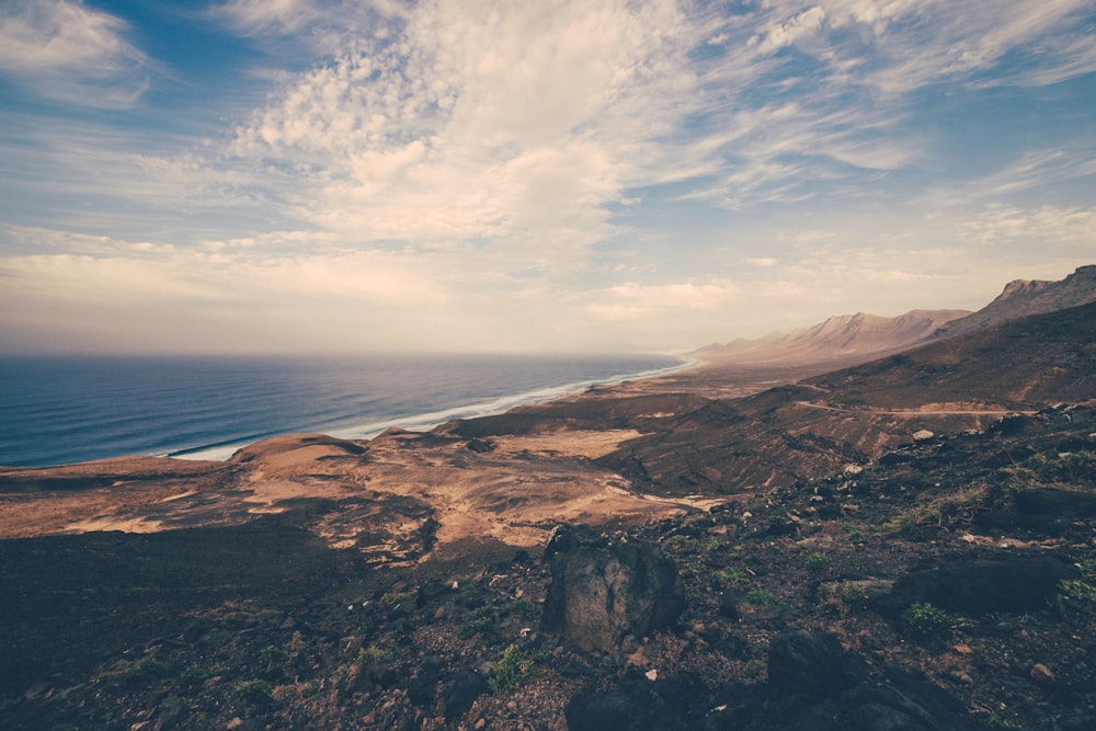 aerial view of seashore during daytime