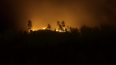 A forest fire illuminates the night sky, silhouetting the outlines of tall trees against a backdrop of intense orange and yellow light. Dense smoke obscures parts of the scene, adding a sense of urgency and drama.
