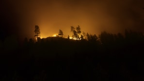 Firefighters in action extinguishing a forest fire at sunset