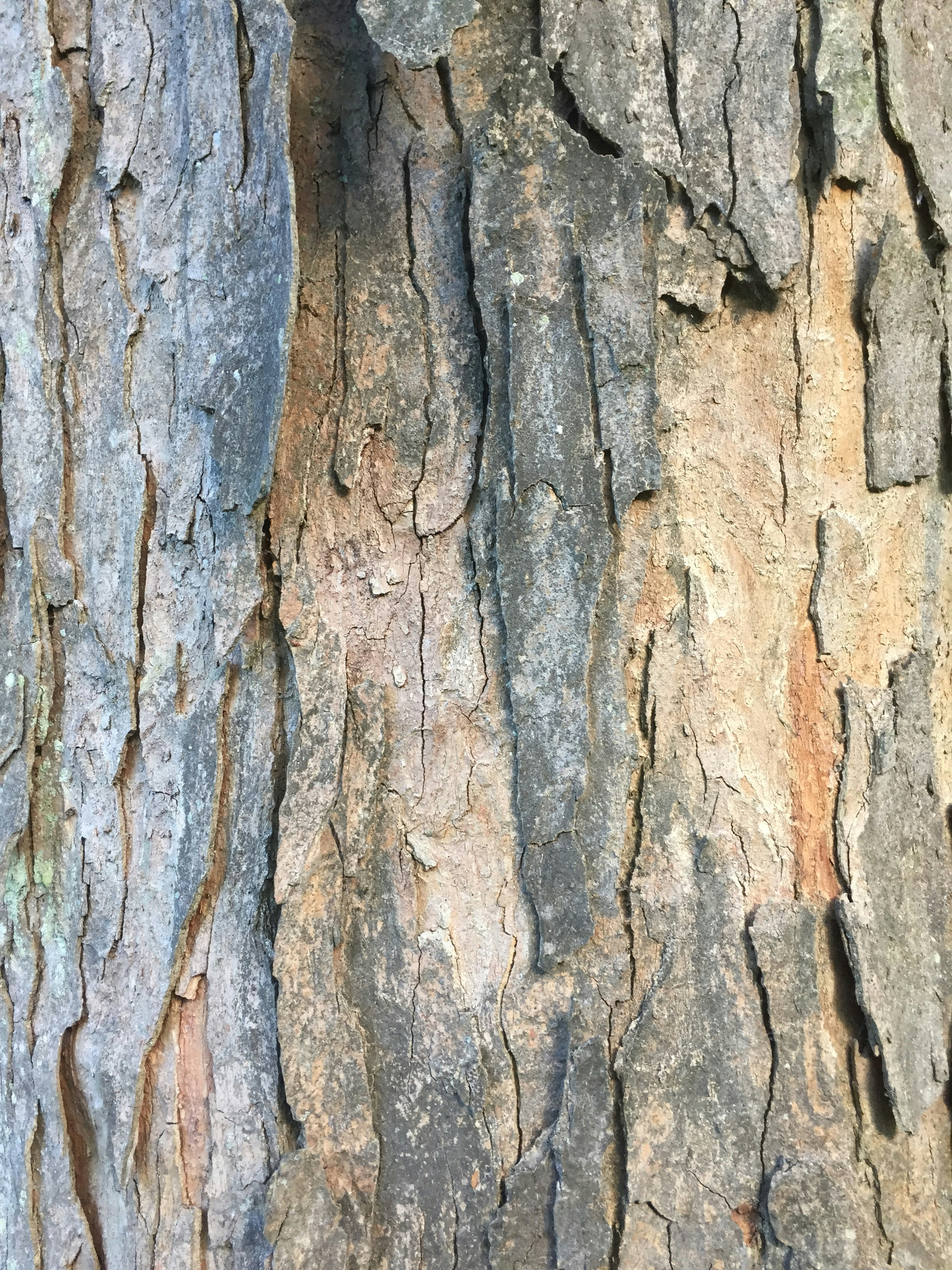 Free Unsplash photo from Stine Holmgaard