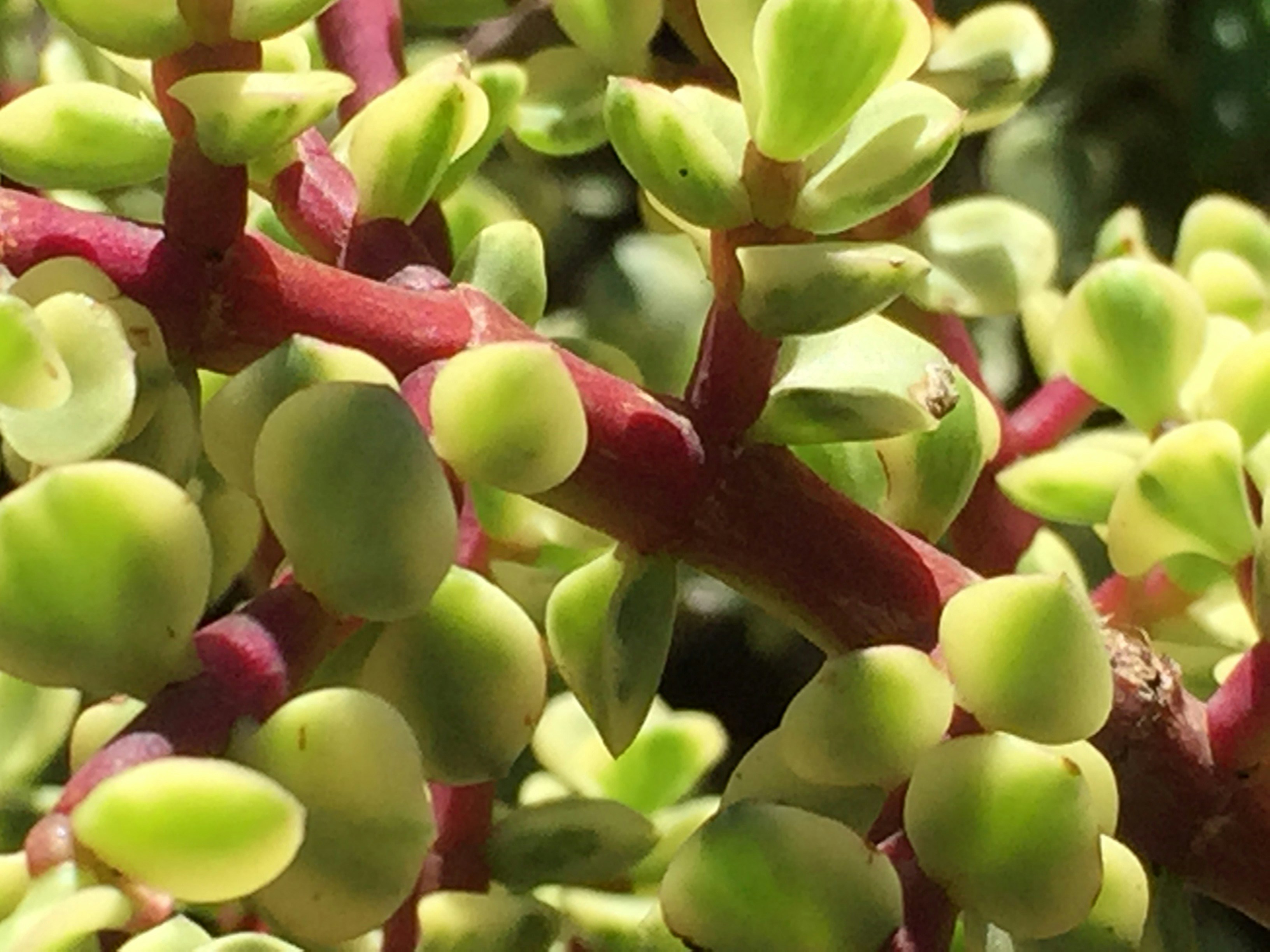 Free Unsplash photo from Denis Lesak