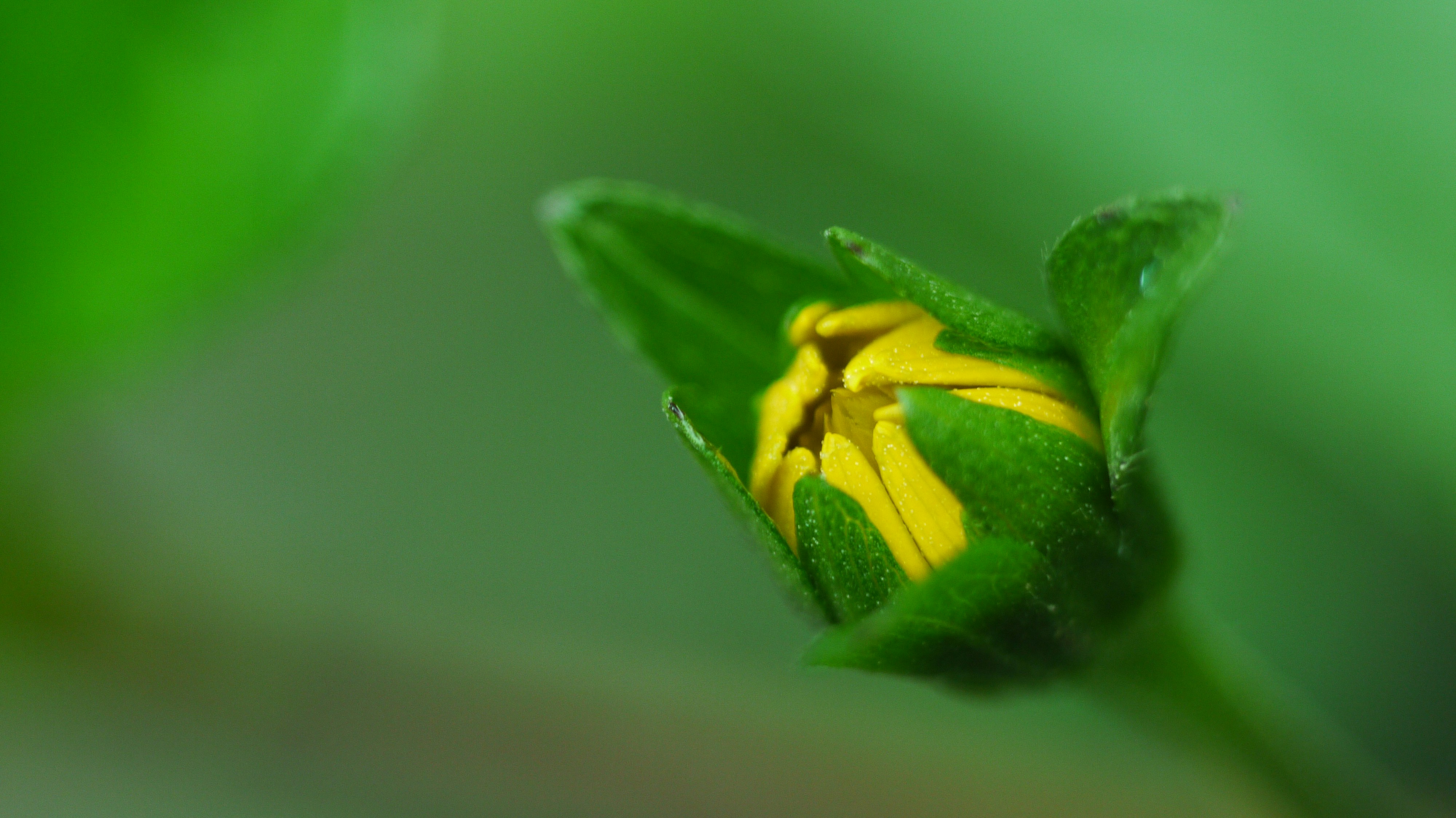 Free Unsplash photo from Michael J.Y. Sheu