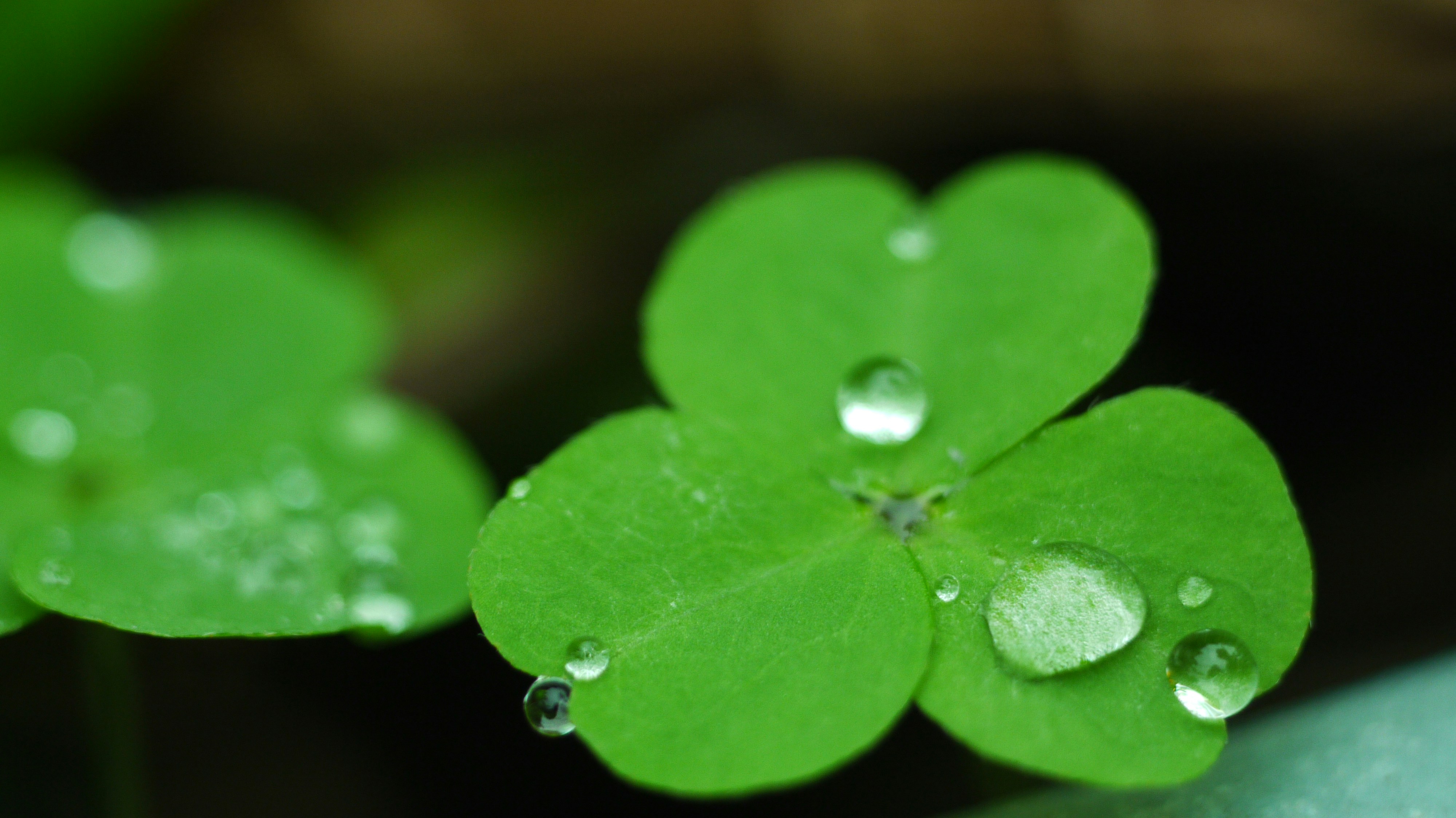 Free Unsplash photo from Michael J.Y. Sheu